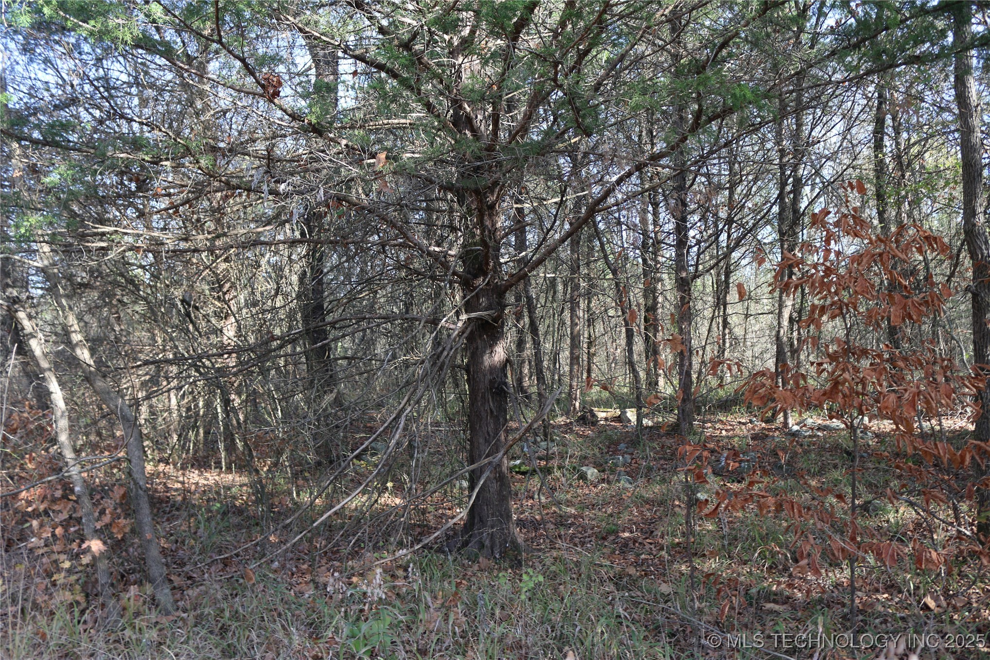 Poteau Mountain Monroe OK 74947