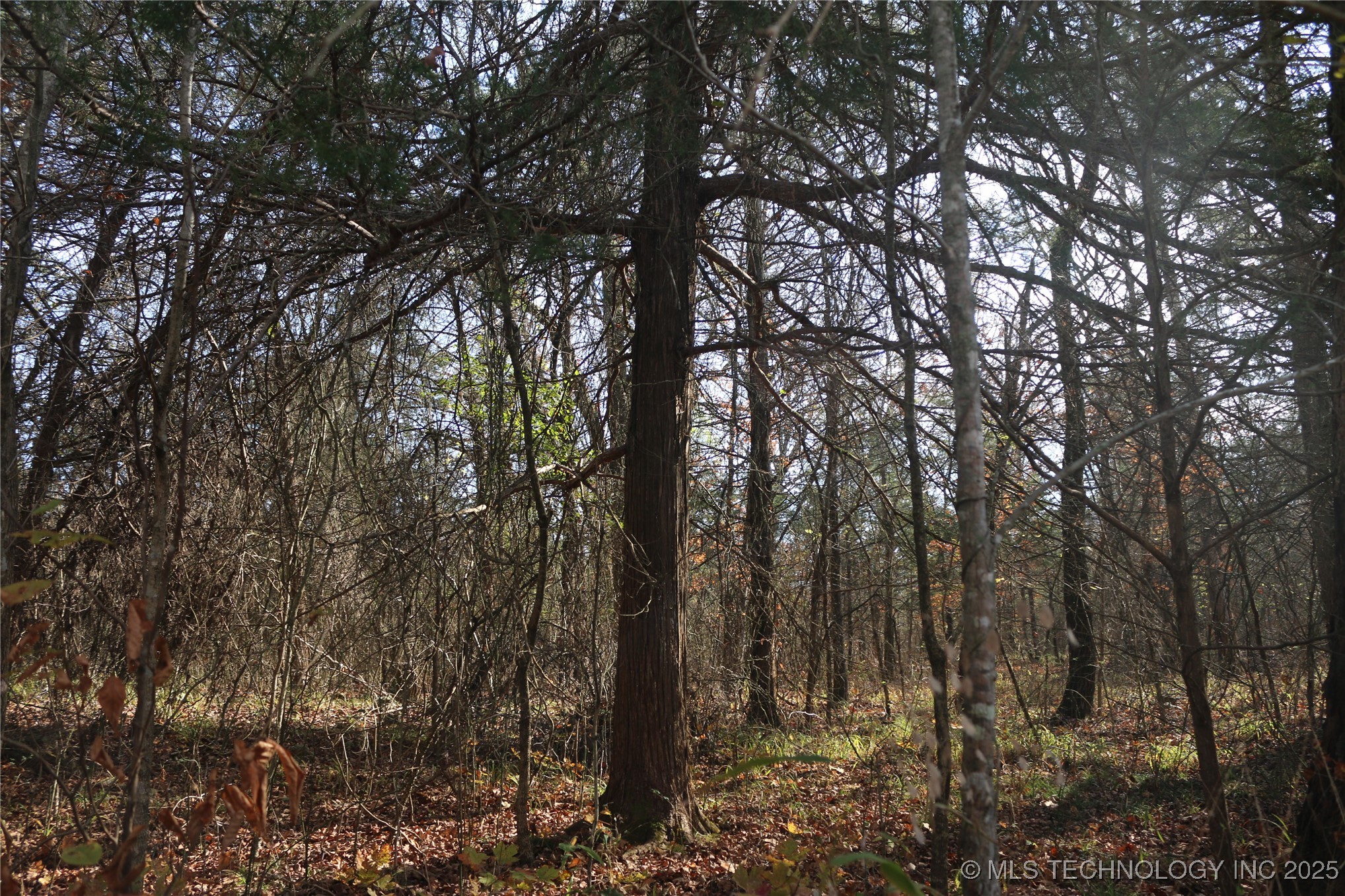 Poteau Mountain Monroe OK 74947