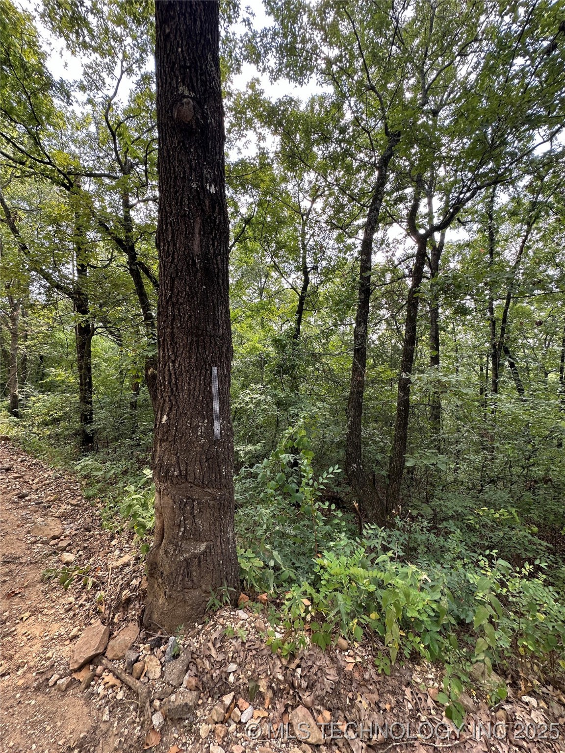 8 W Big Rock Road Park Hill OK 74451