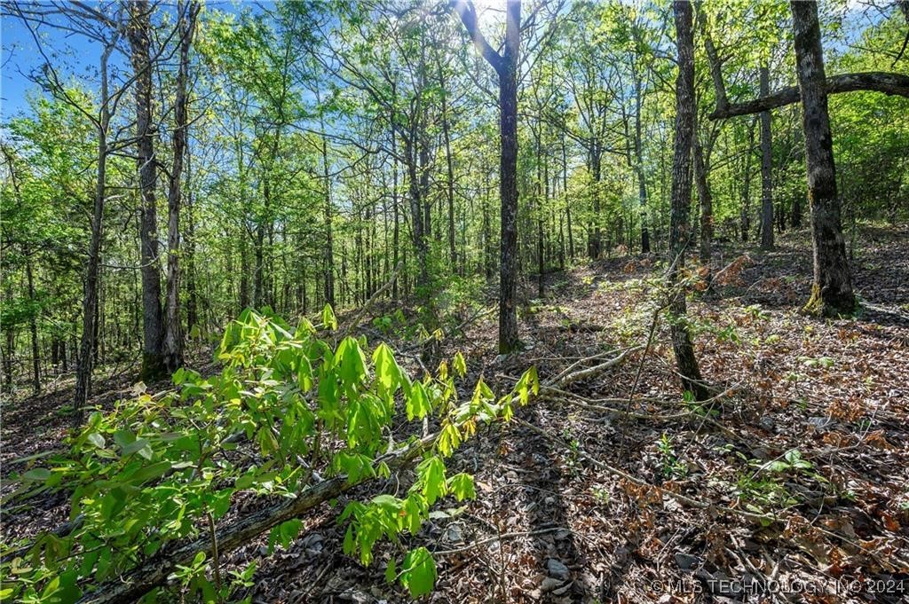 50 Cedar Trail Broken Bow OK 74728