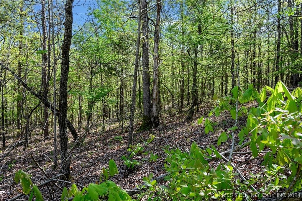 50 Cedar Trail Broken Bow OK 74728