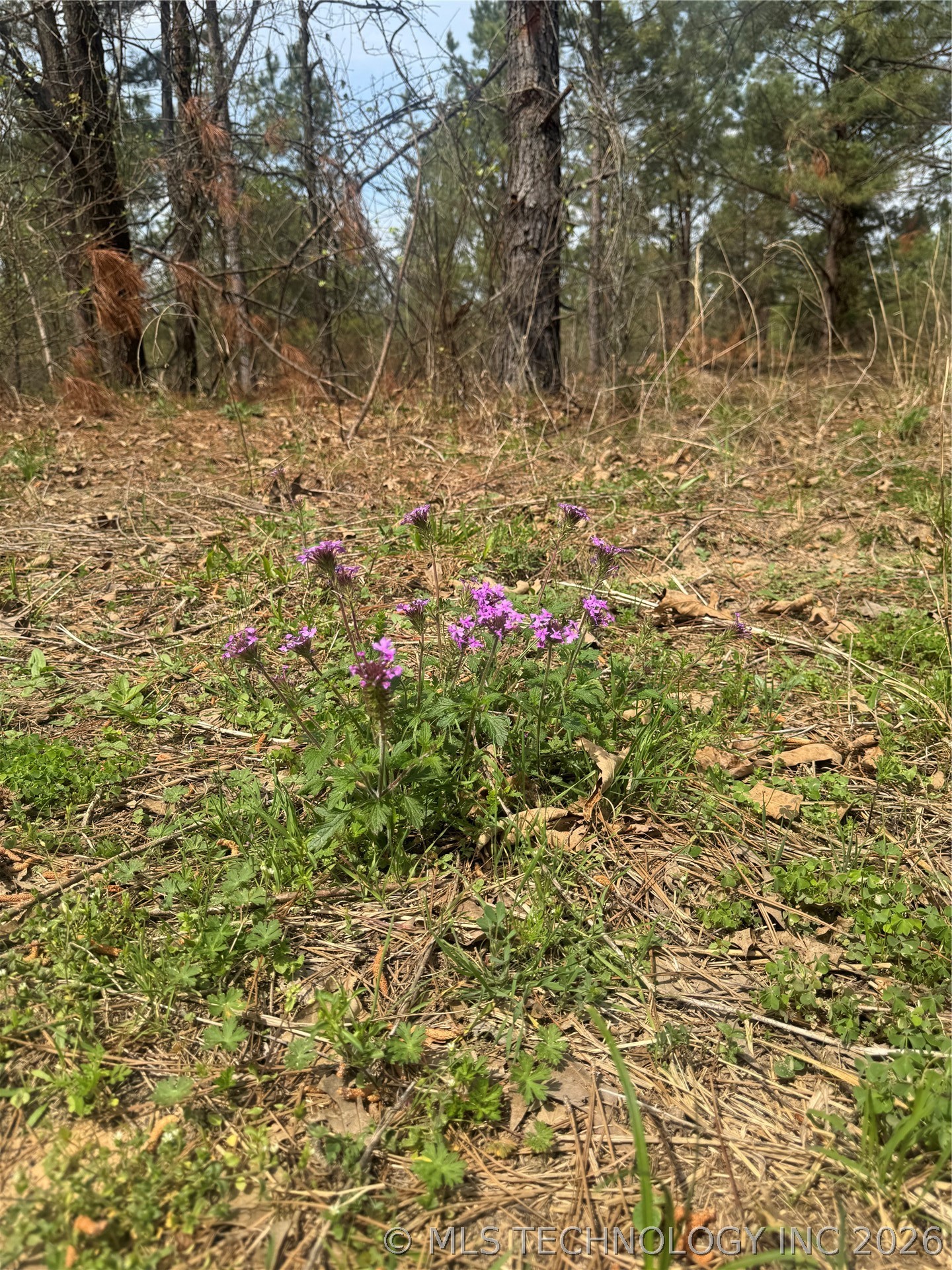 0000 Milam Road Antlers OK 74523
