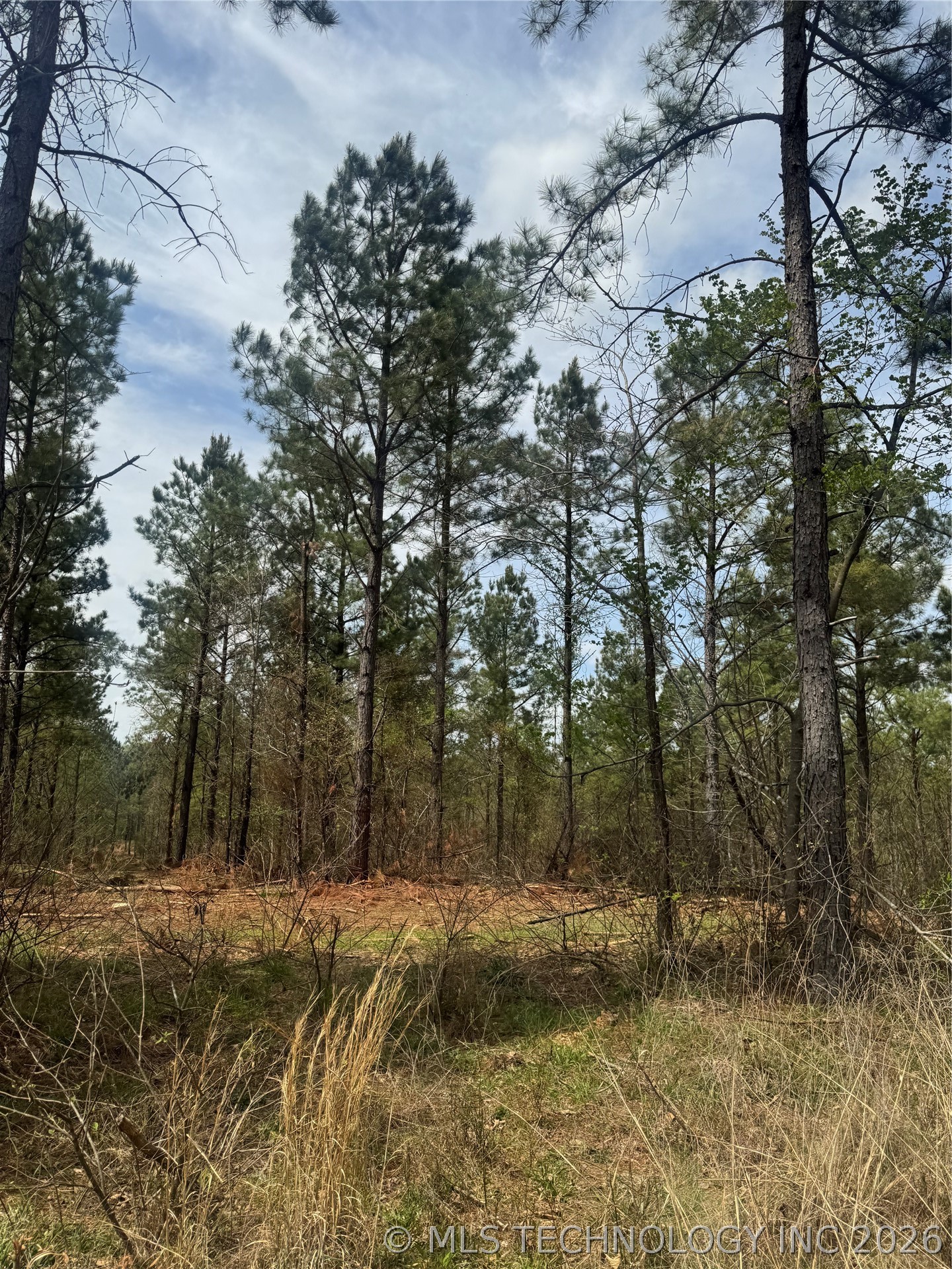 0000 Milam Road Antlers OK 74523