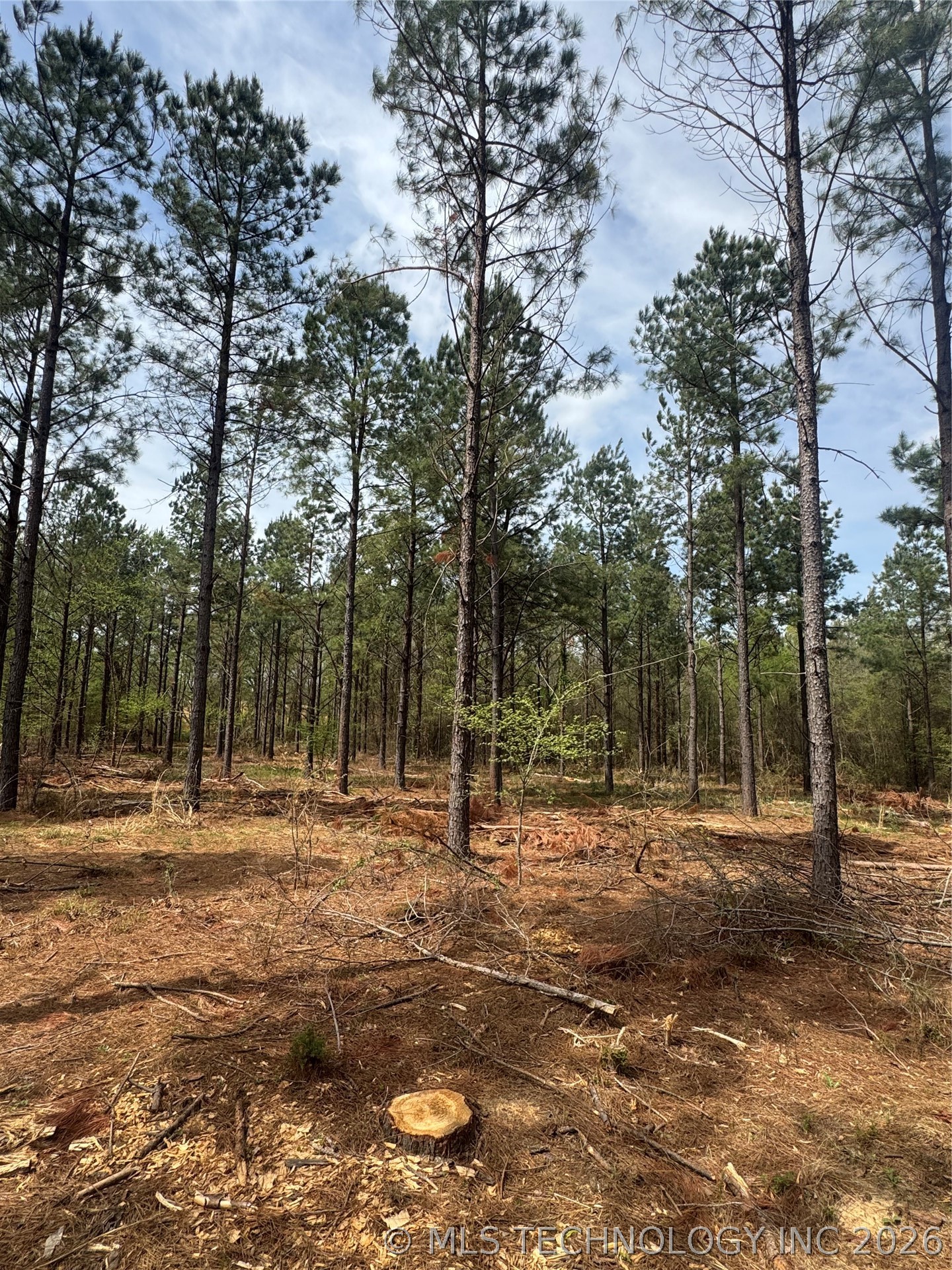 0000 Milam Road Antlers OK 74523