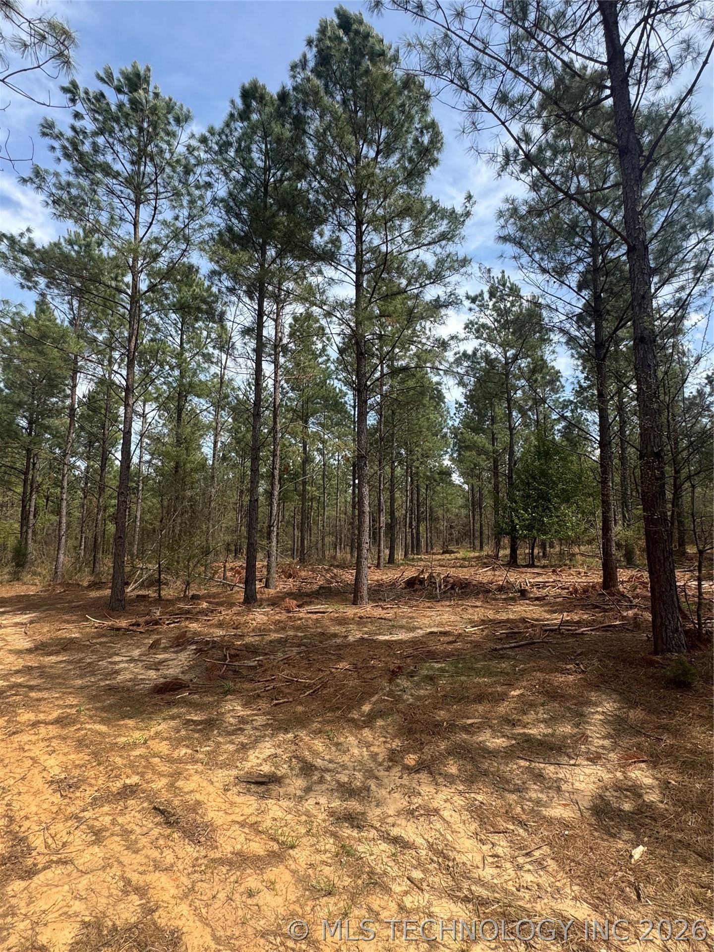 0000 Milam Road Antlers OK 74523