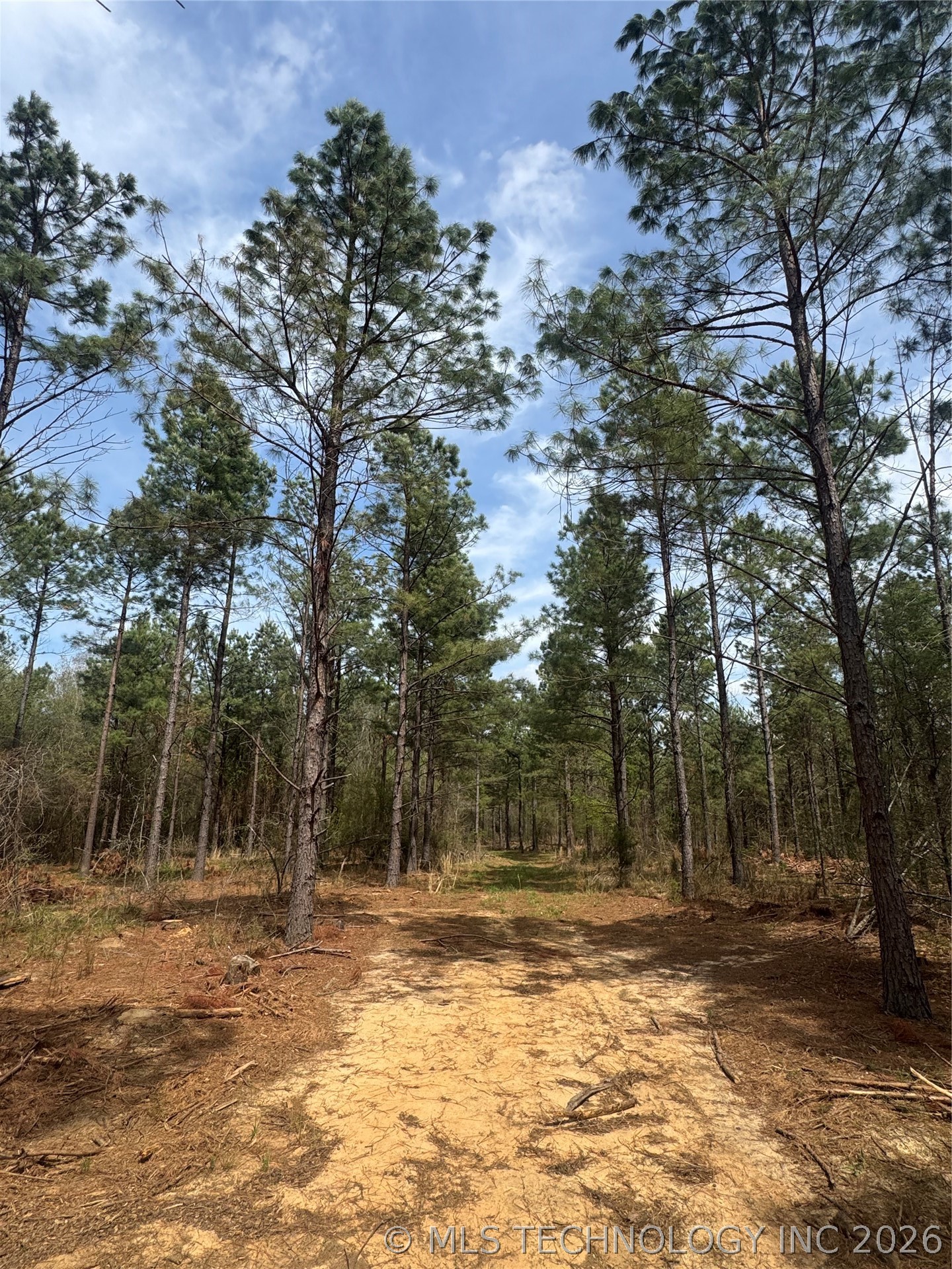 0000 Milam Road Antlers OK 74523