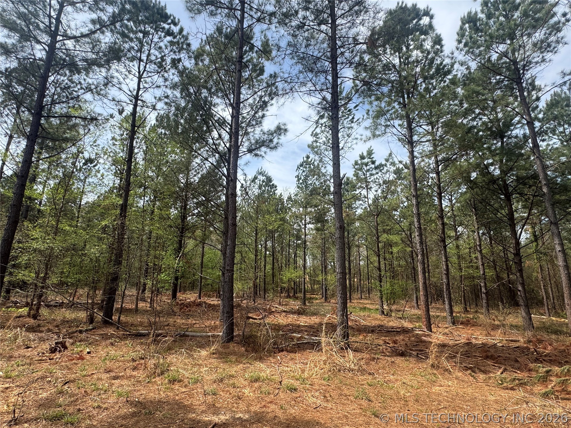 0000 Milam Road Antlers OK 74523