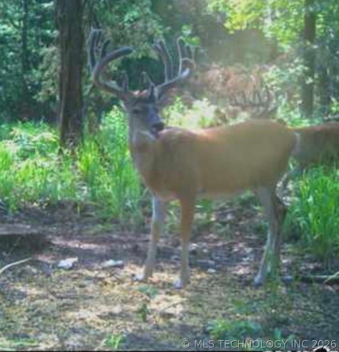 0000 Milam Road Antlers OK 74523