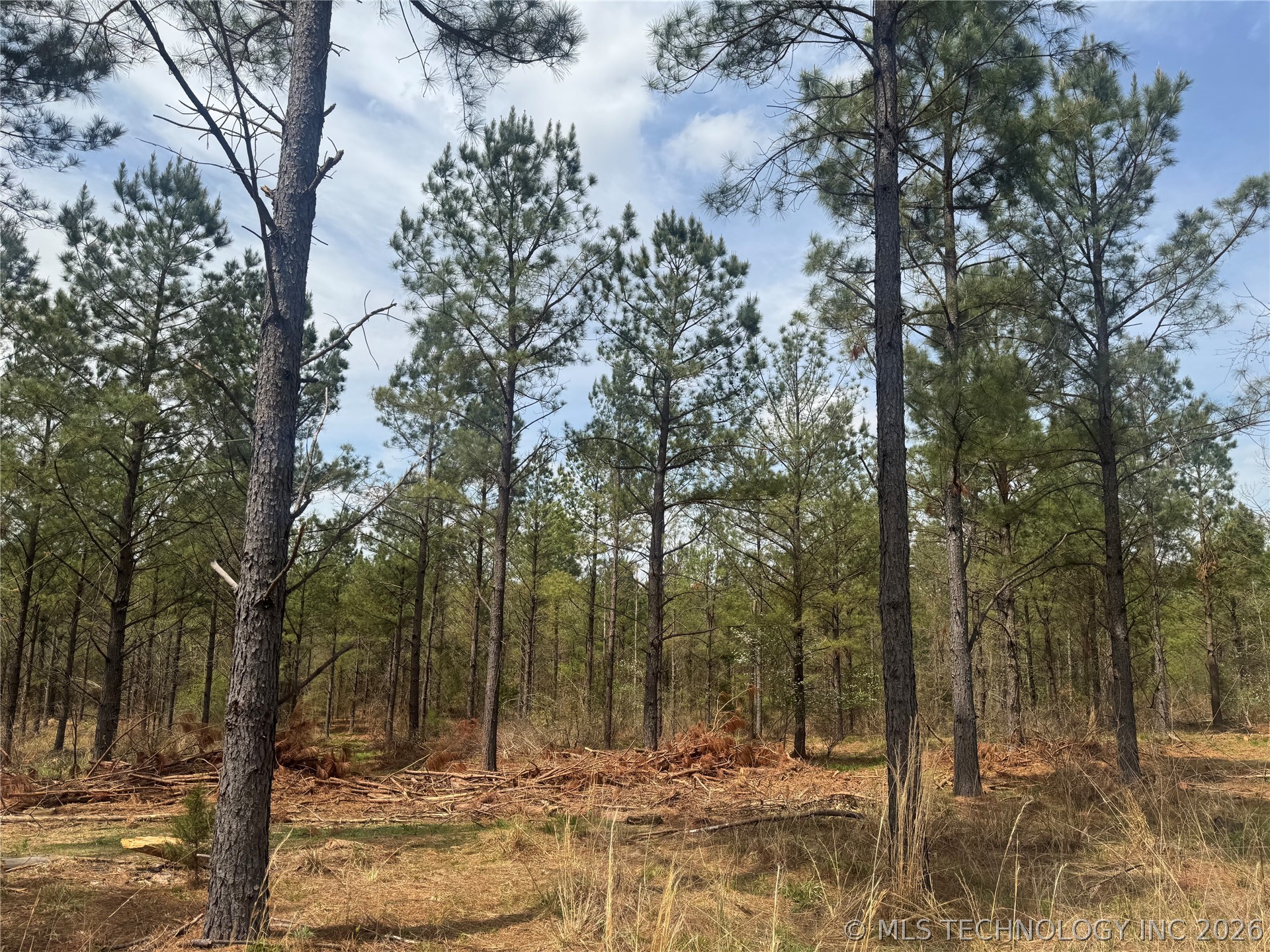 0000 Milam Road Antlers OK 74523