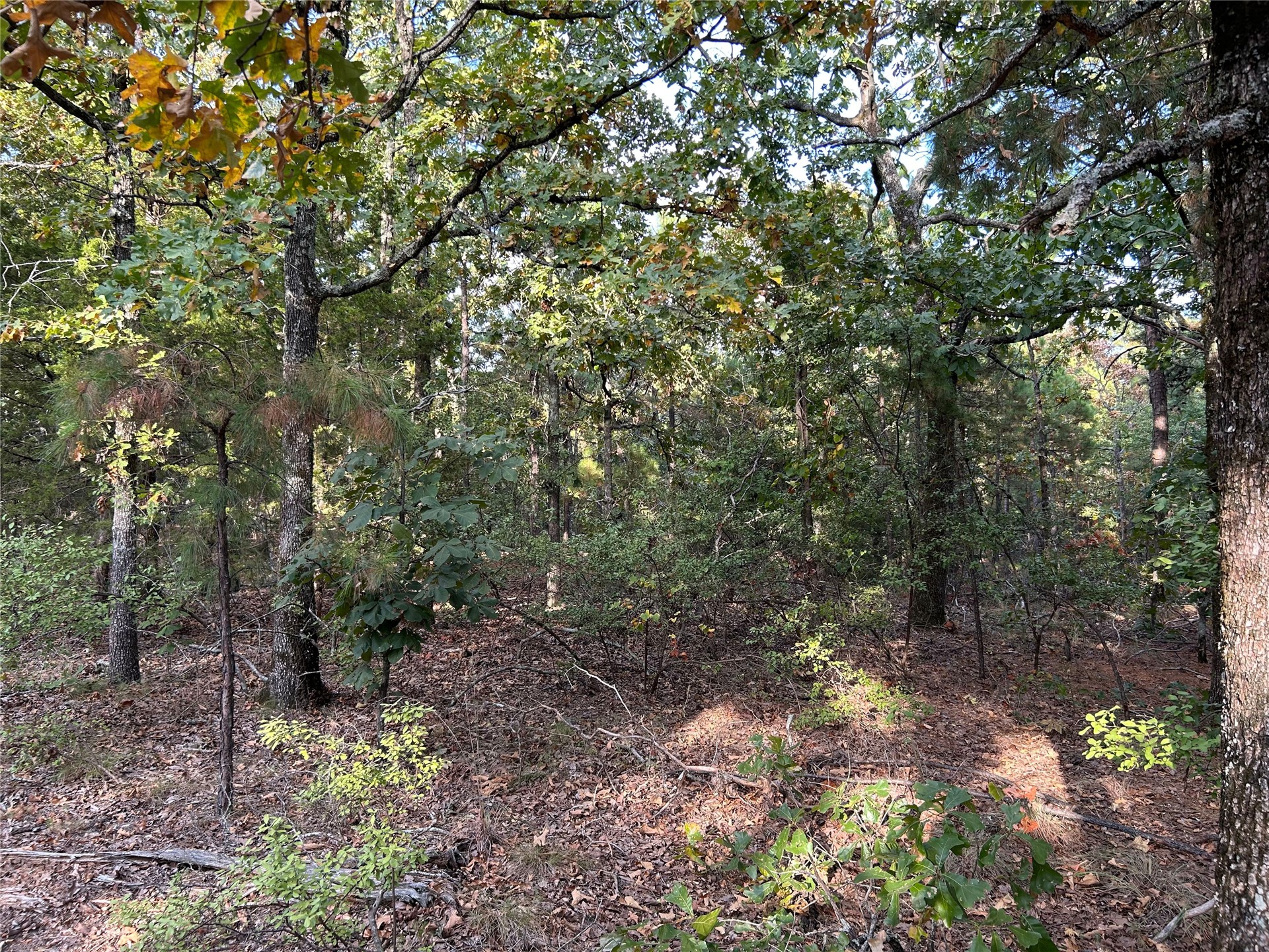 Highway 2 Wilburton OK 74578