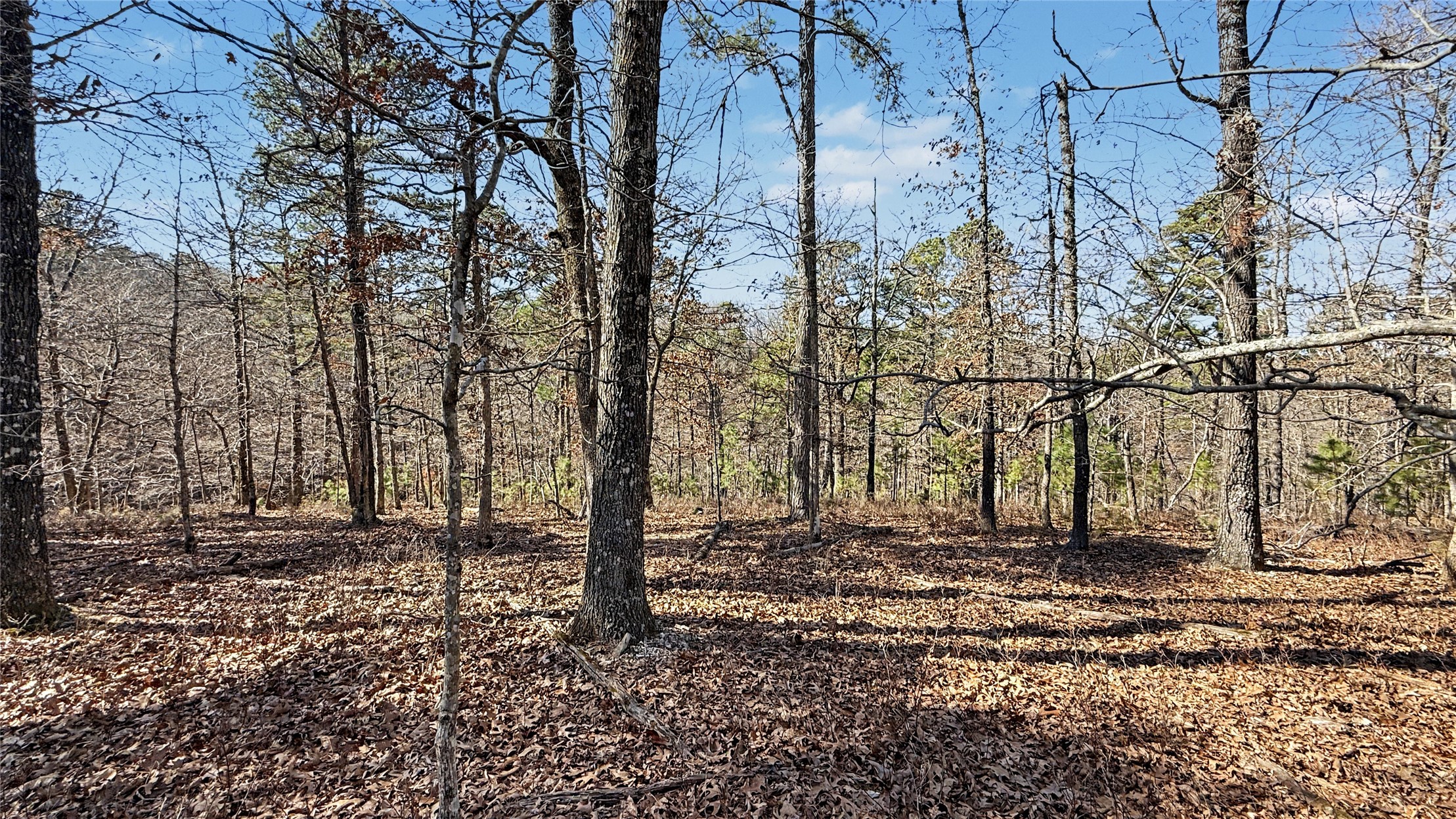930 Pine Bark Trail Kansas OK 74347