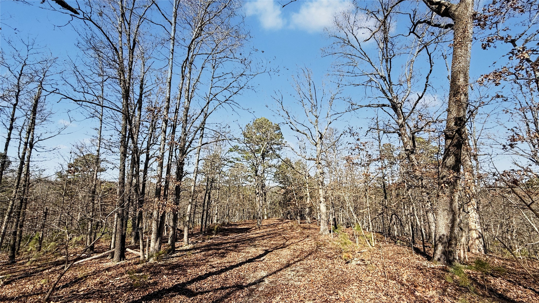 930 Pine Bark Trail Kansas OK 74347