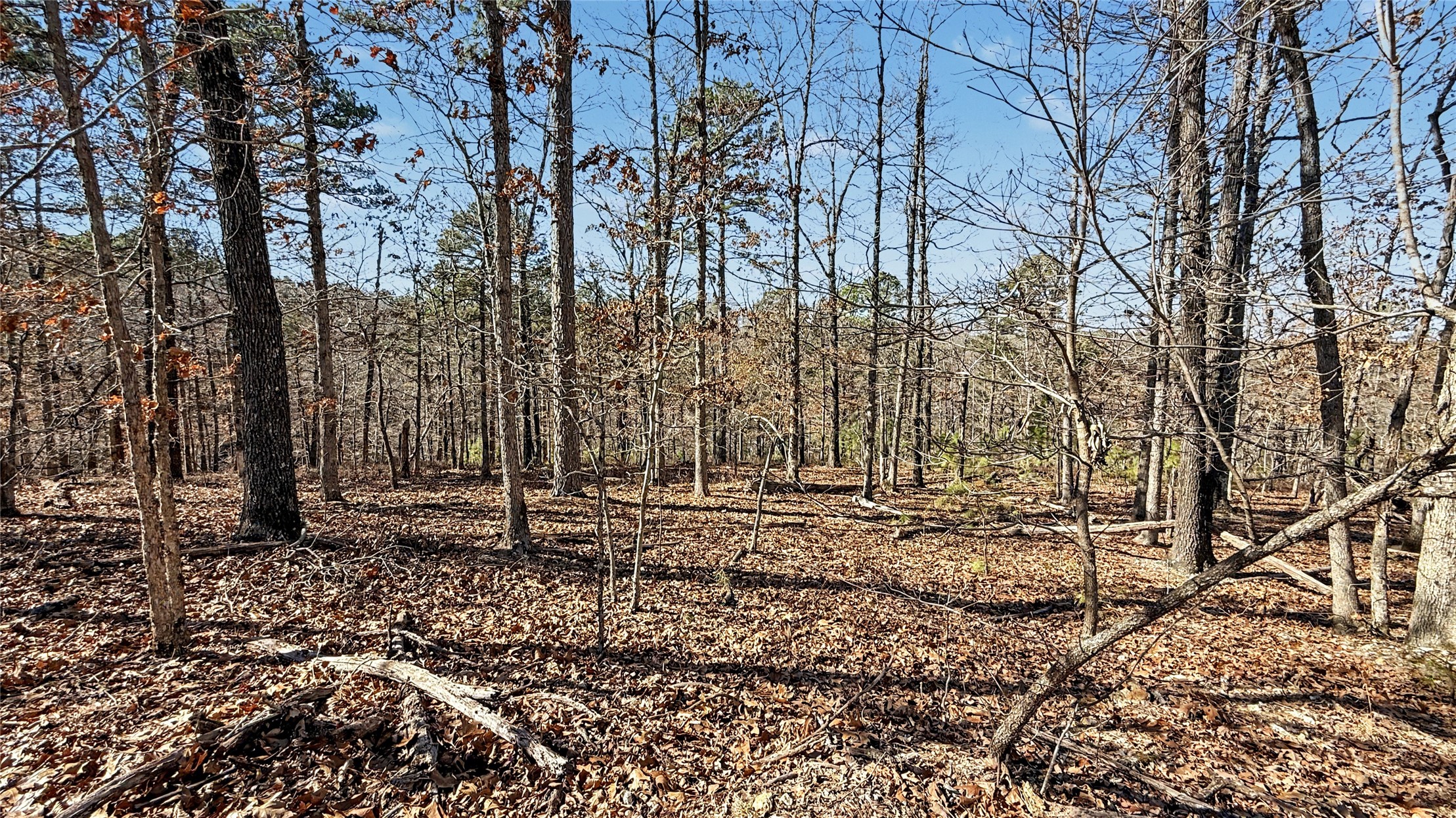 930 Pine Bark Trail Kansas OK 74347