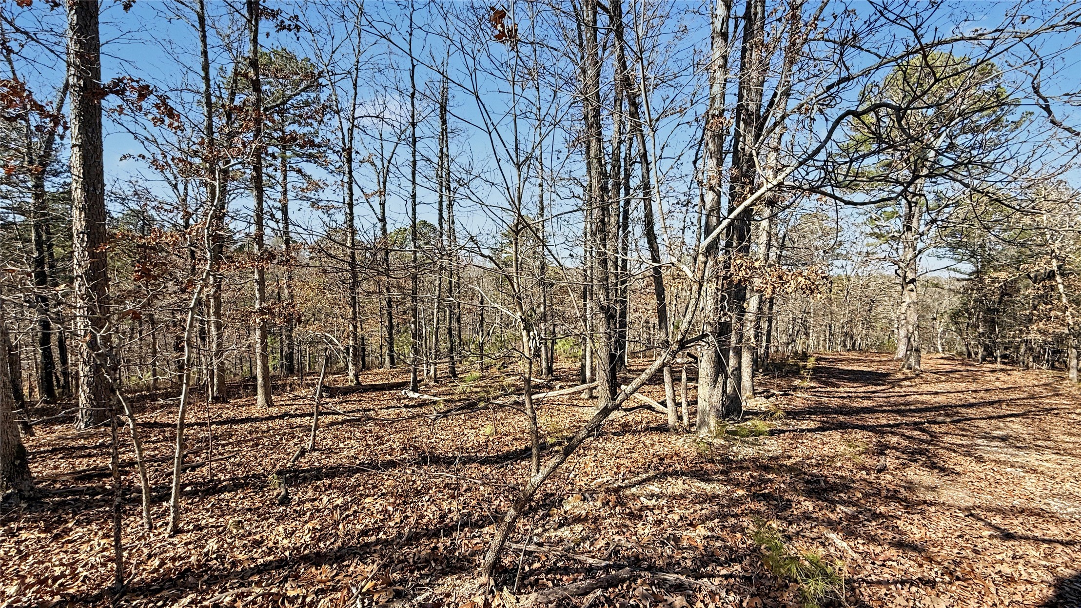 930 Pine Bark Trail Kansas OK 74347