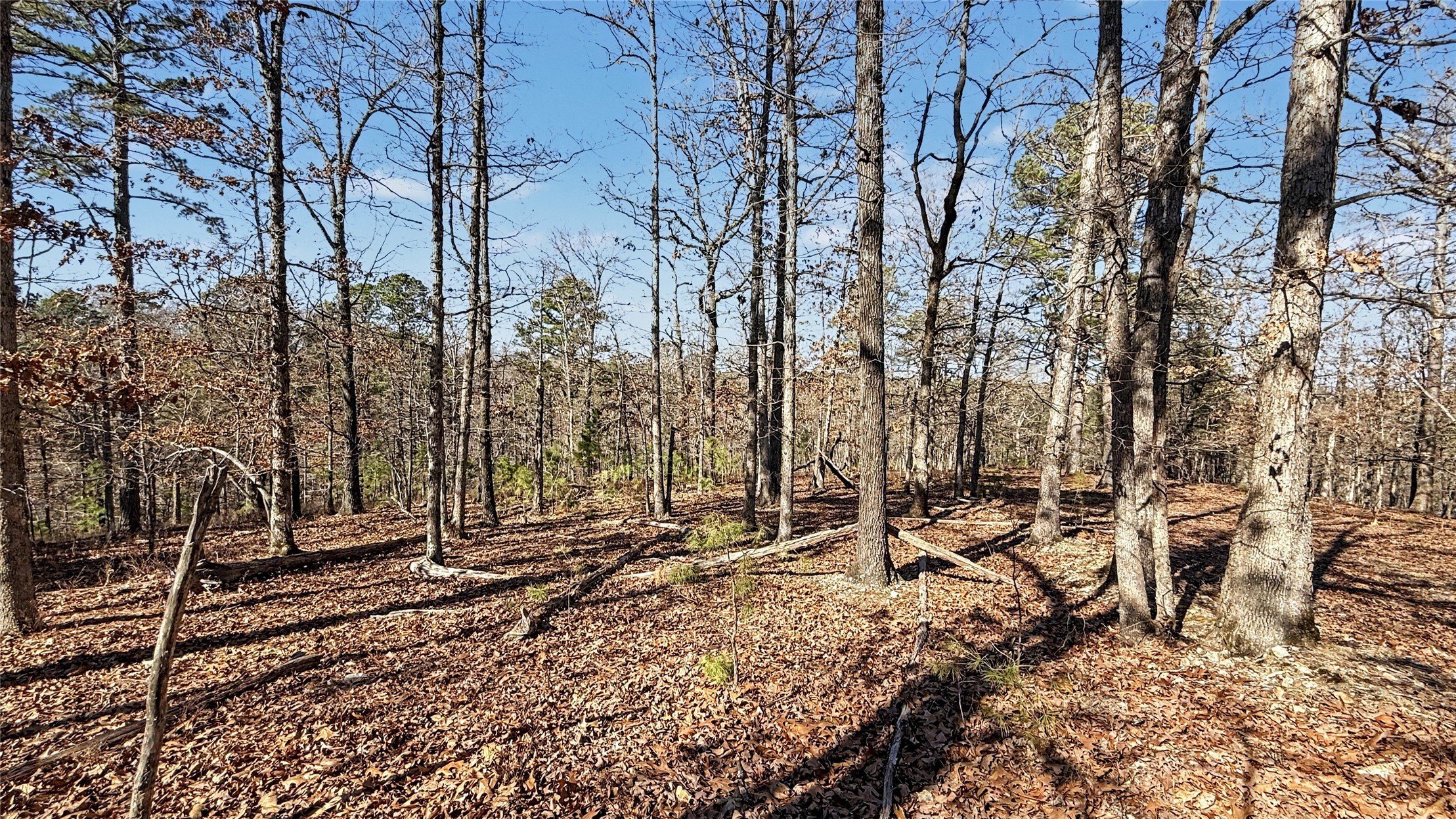 930 Pine Bark Trail Kansas OK 74347