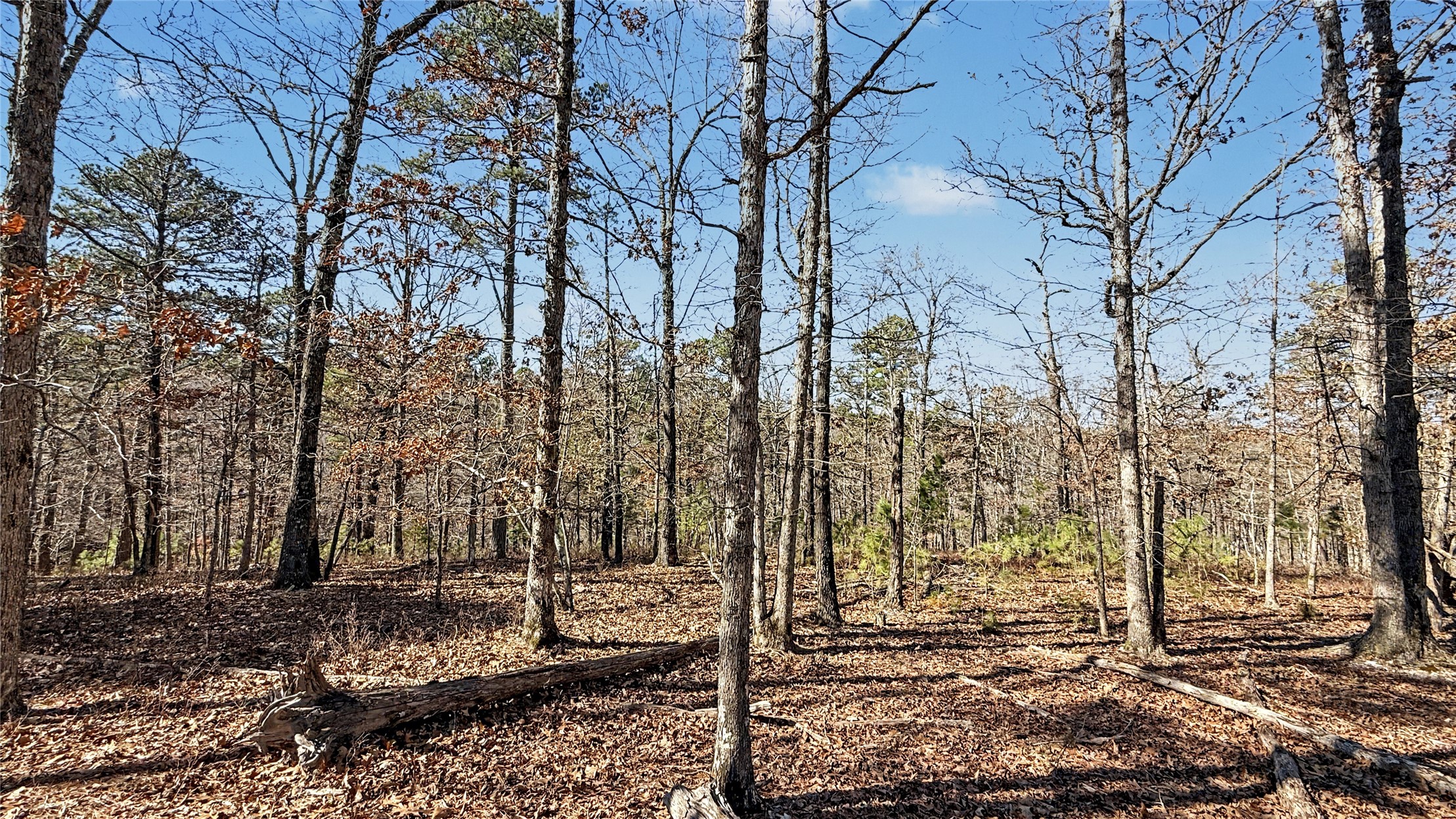 930 Pine Bark Trail Kansas OK 74347