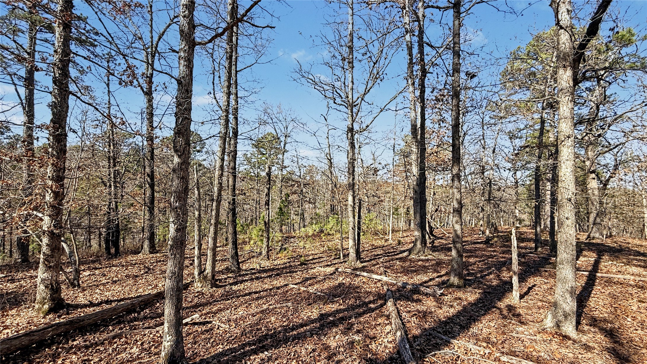 930 Pine Bark Trail Kansas OK 74347