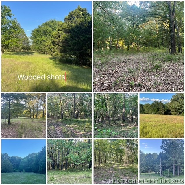 01 N Dozier Road Antlers OK 74523