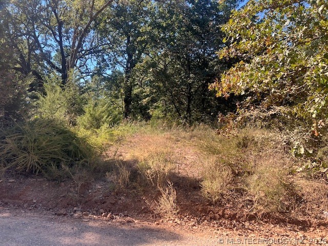 Half Bank Road Atoka OK 74525