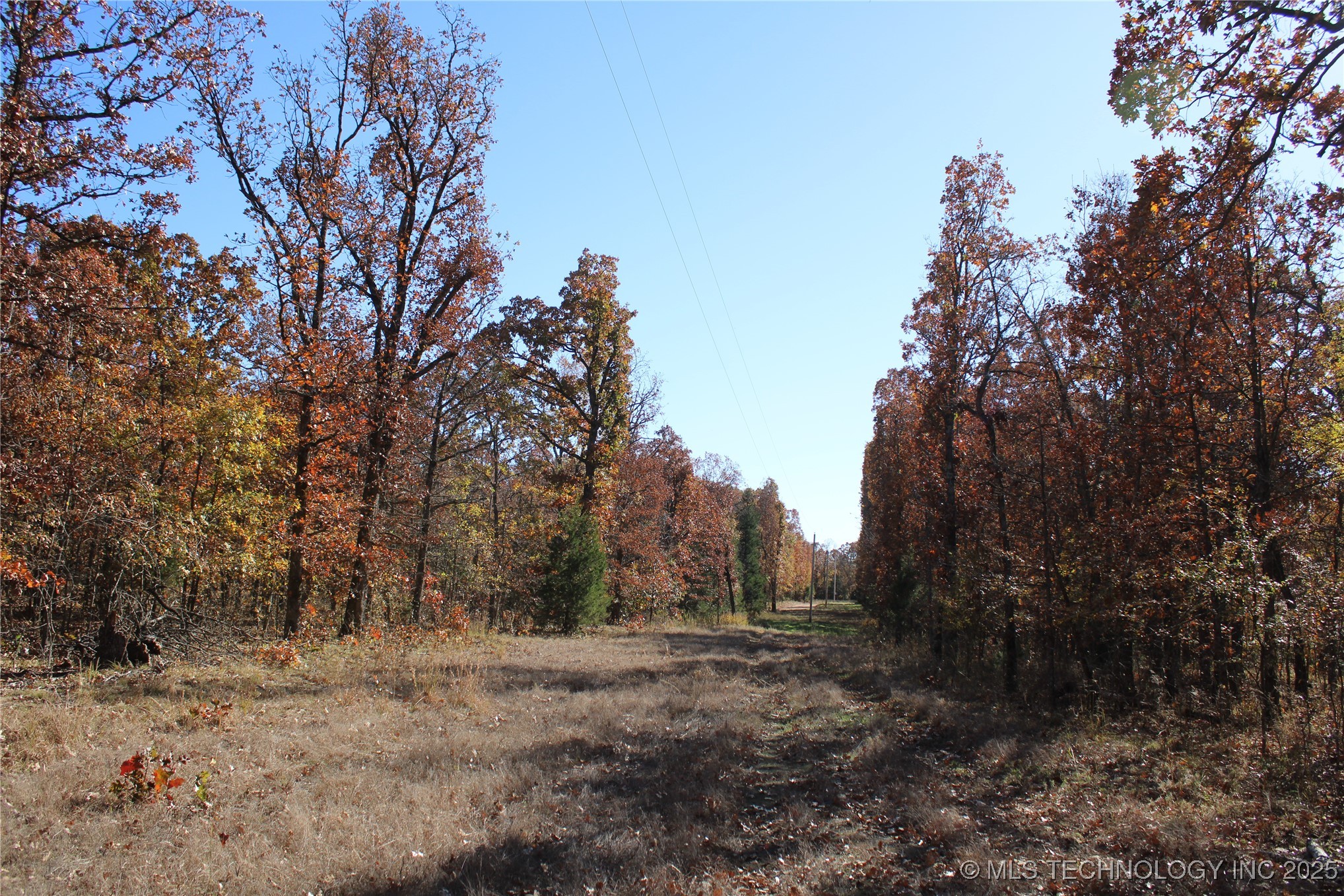 18101 S 641 Road Wyandotte OK 74370