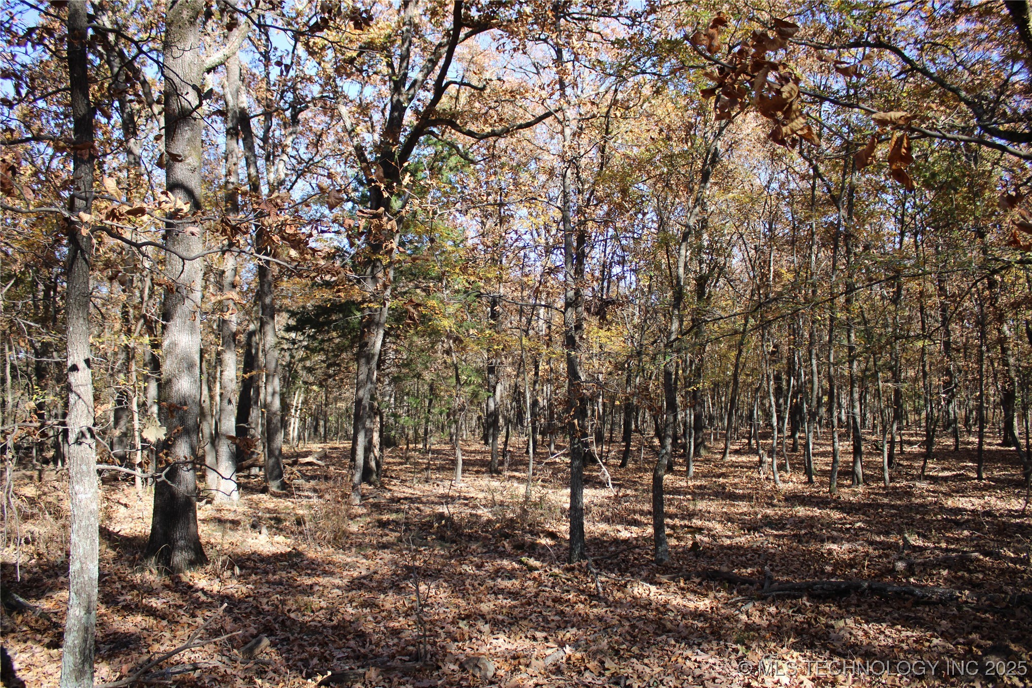 18101 S 641 Road Wyandotte OK 74370