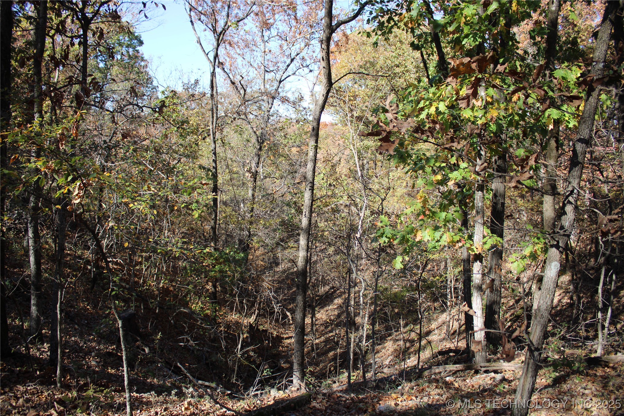 18101 S 641 Road Wyandotte OK 74370