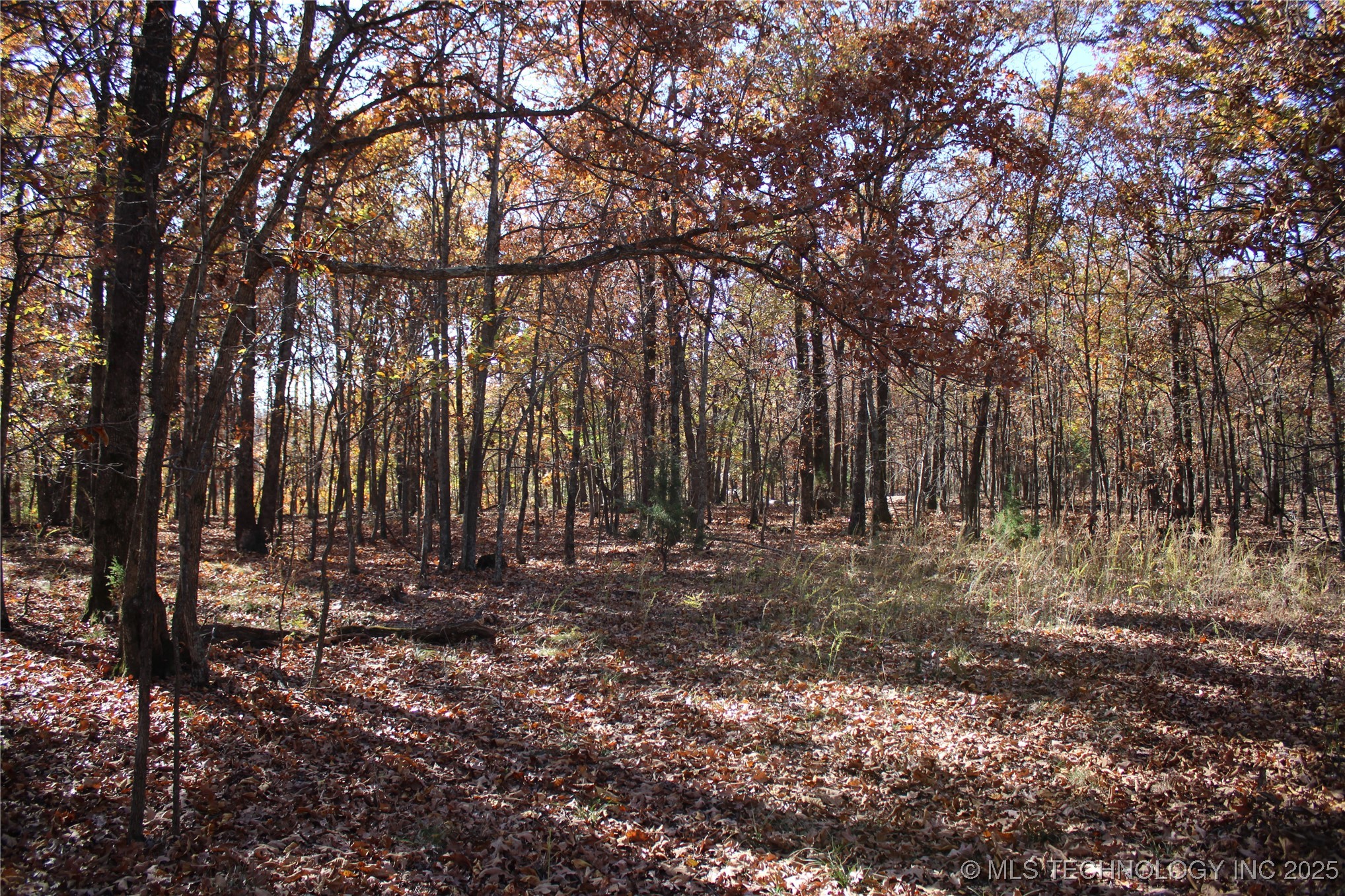 18101 S 641 Road Wyandotte OK 74370