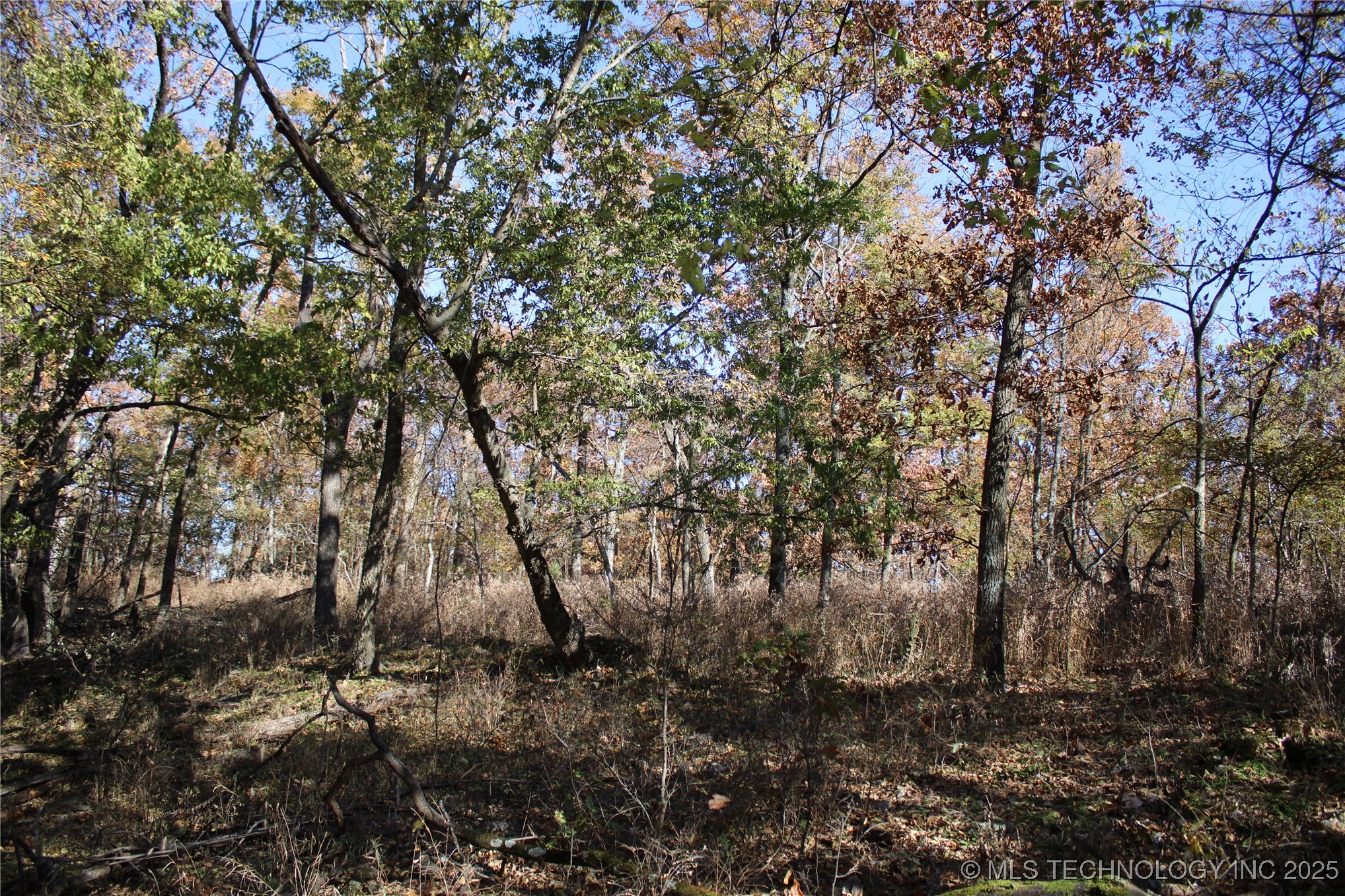 18101 S 641 Road Wyandotte OK 74370