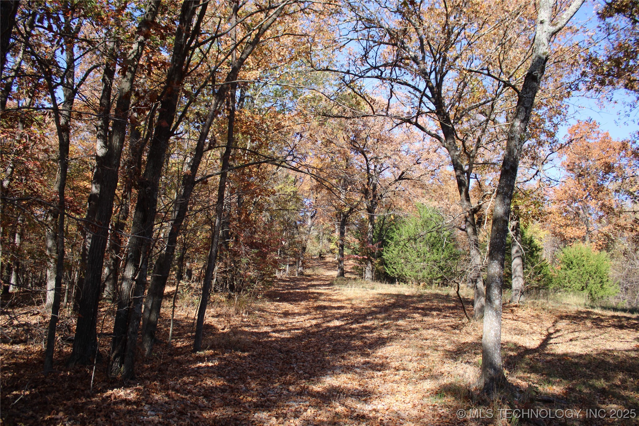 18101 S 641 Road Wyandotte OK 74370
