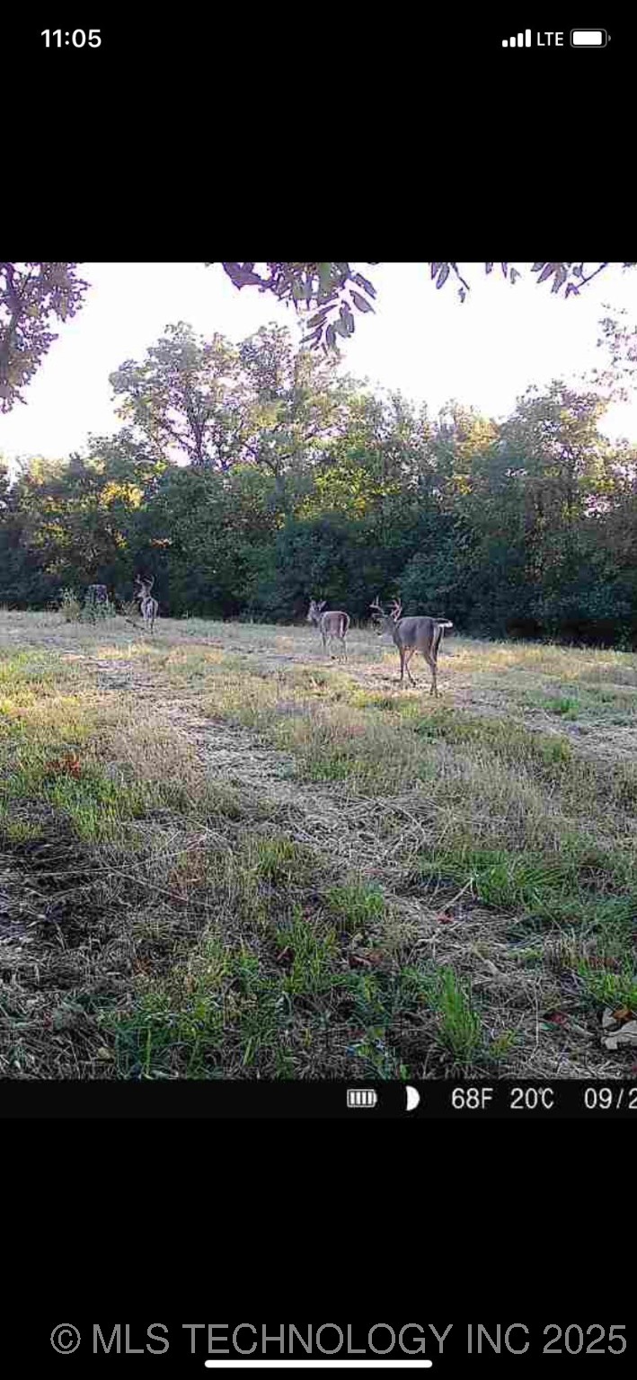 18101 S 641 Road Wyandotte OK 74370