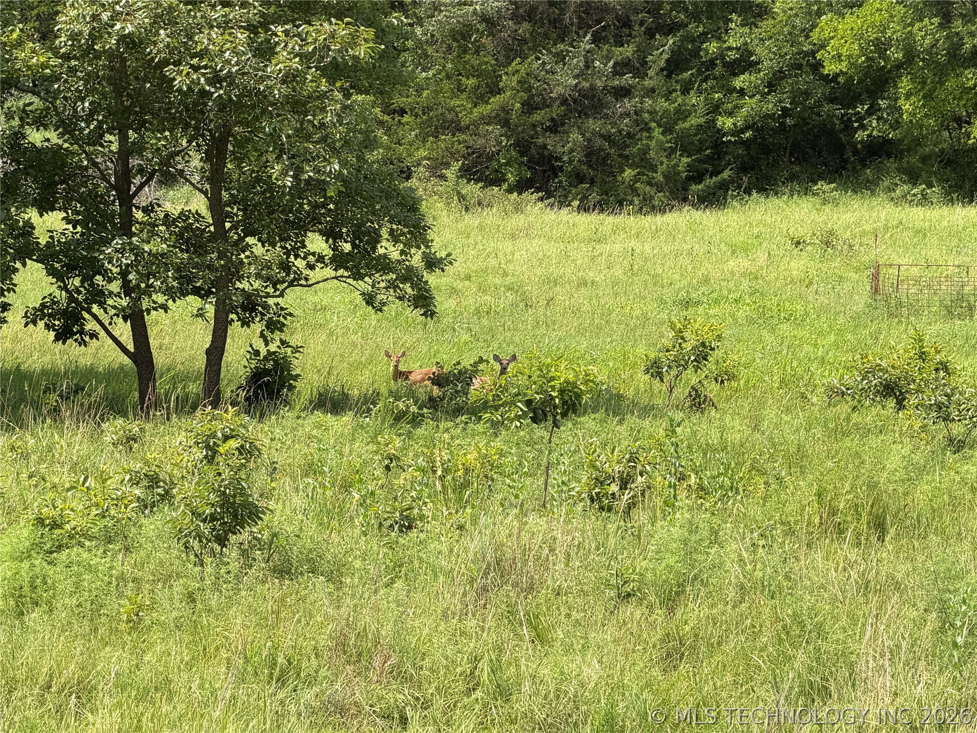 000 E 4100 Road Pawnee OK 74058