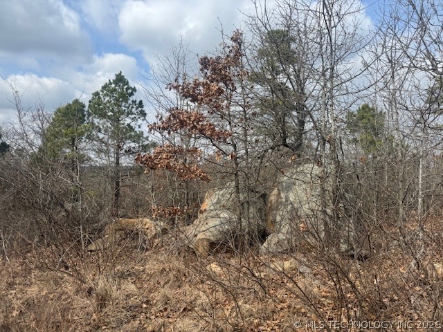E 1732 Road Clayton OK 74536