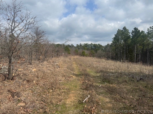 E 1732 Road Clayton OK 74536