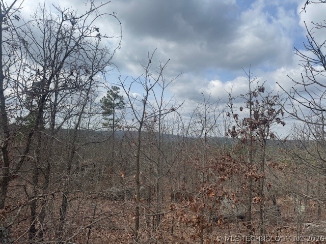 E 1732 Road Clayton OK 74536