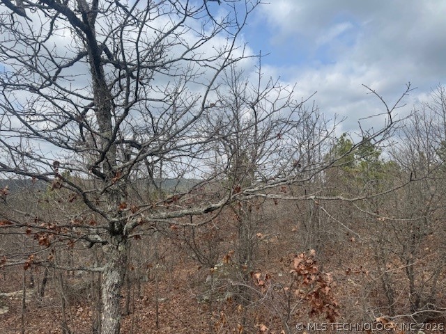 E 1732 Road Clayton OK 74536