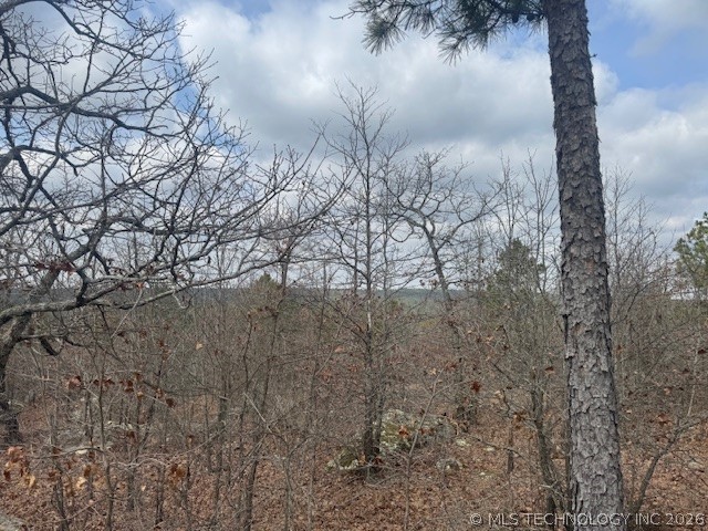 E 1732 Road Clayton OK 74536