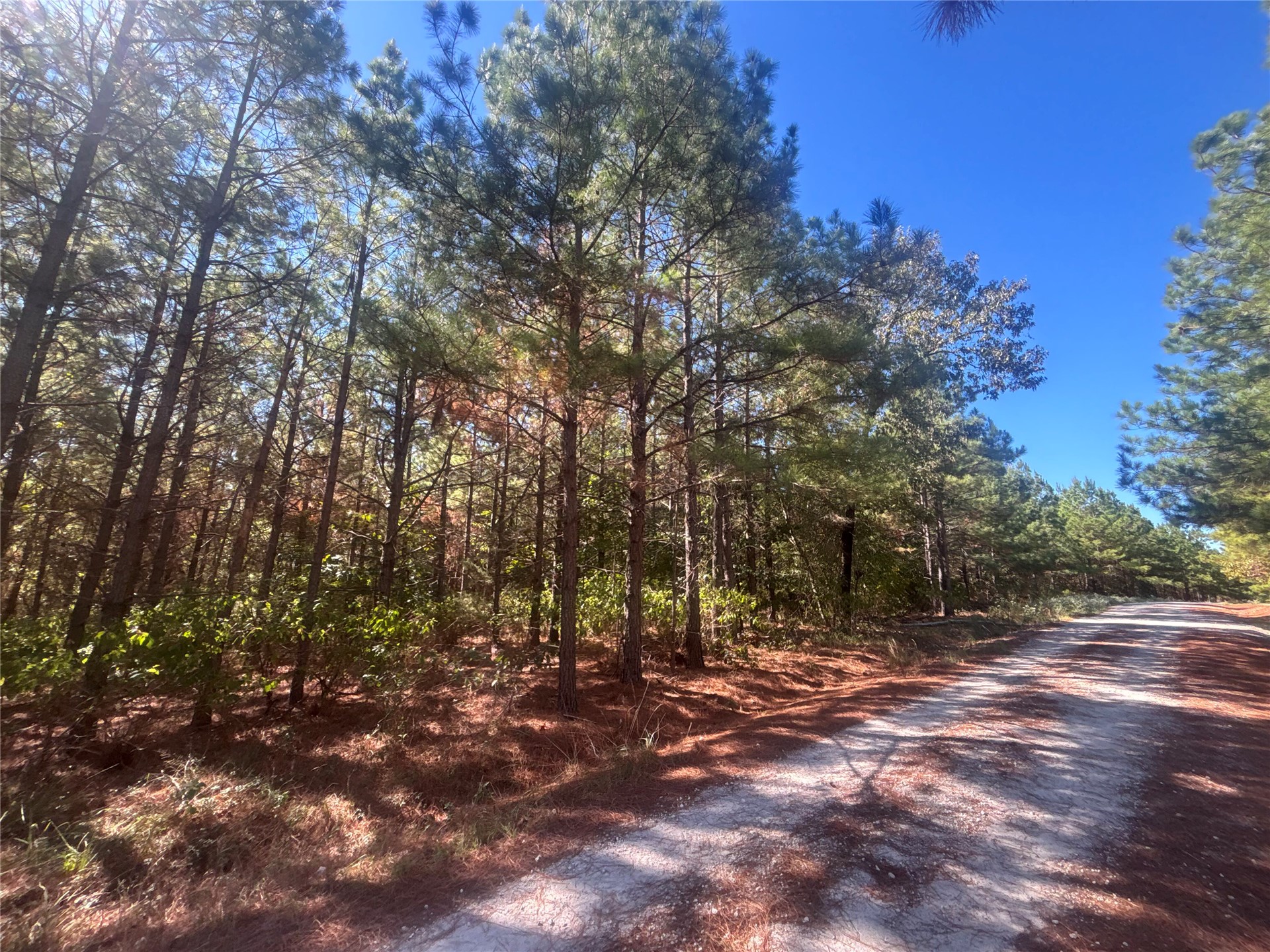Overcup Acorn Trail Broken Bow OK 74728