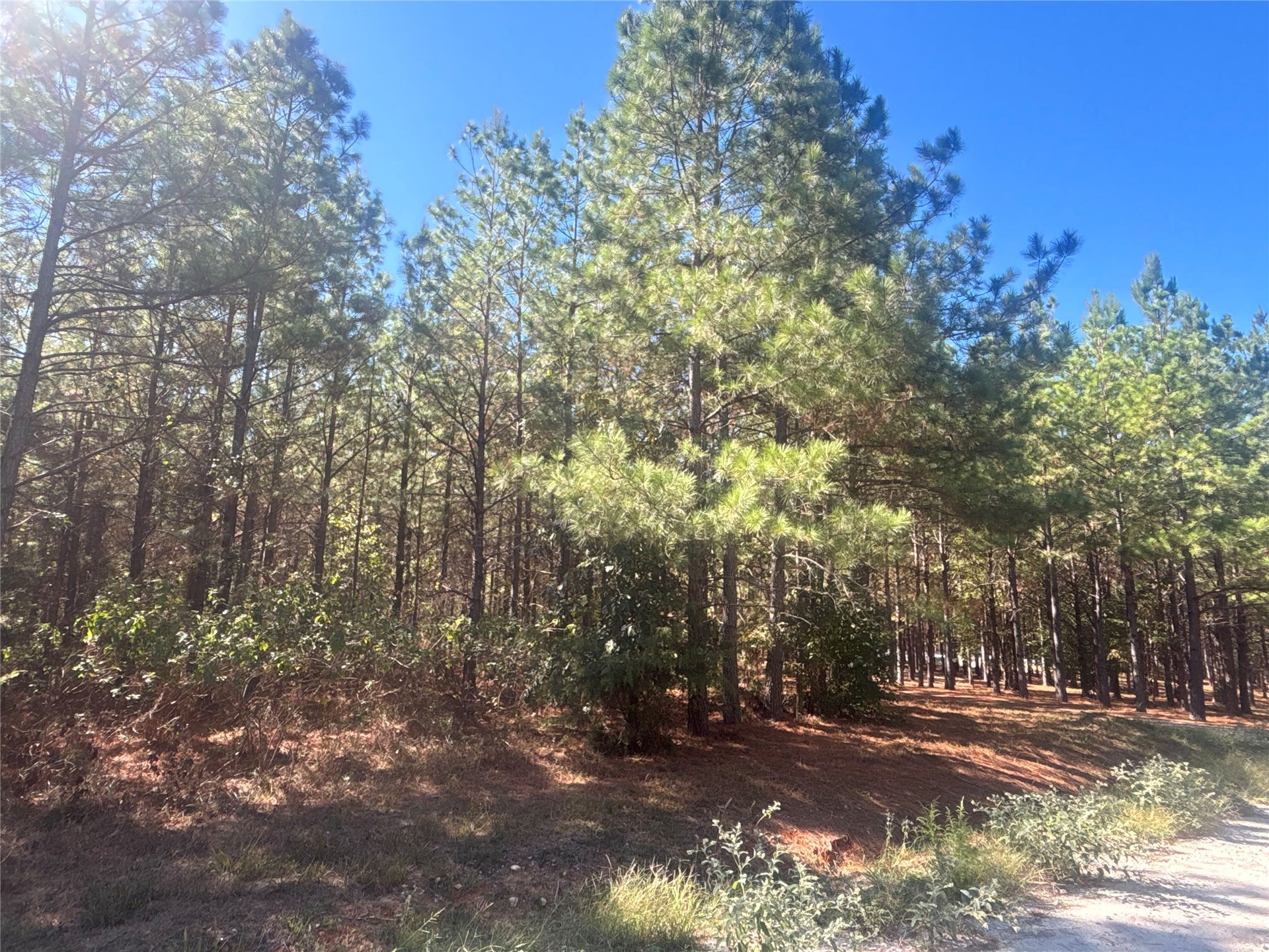 Overcup Acorn Trail Broken Bow OK 74728