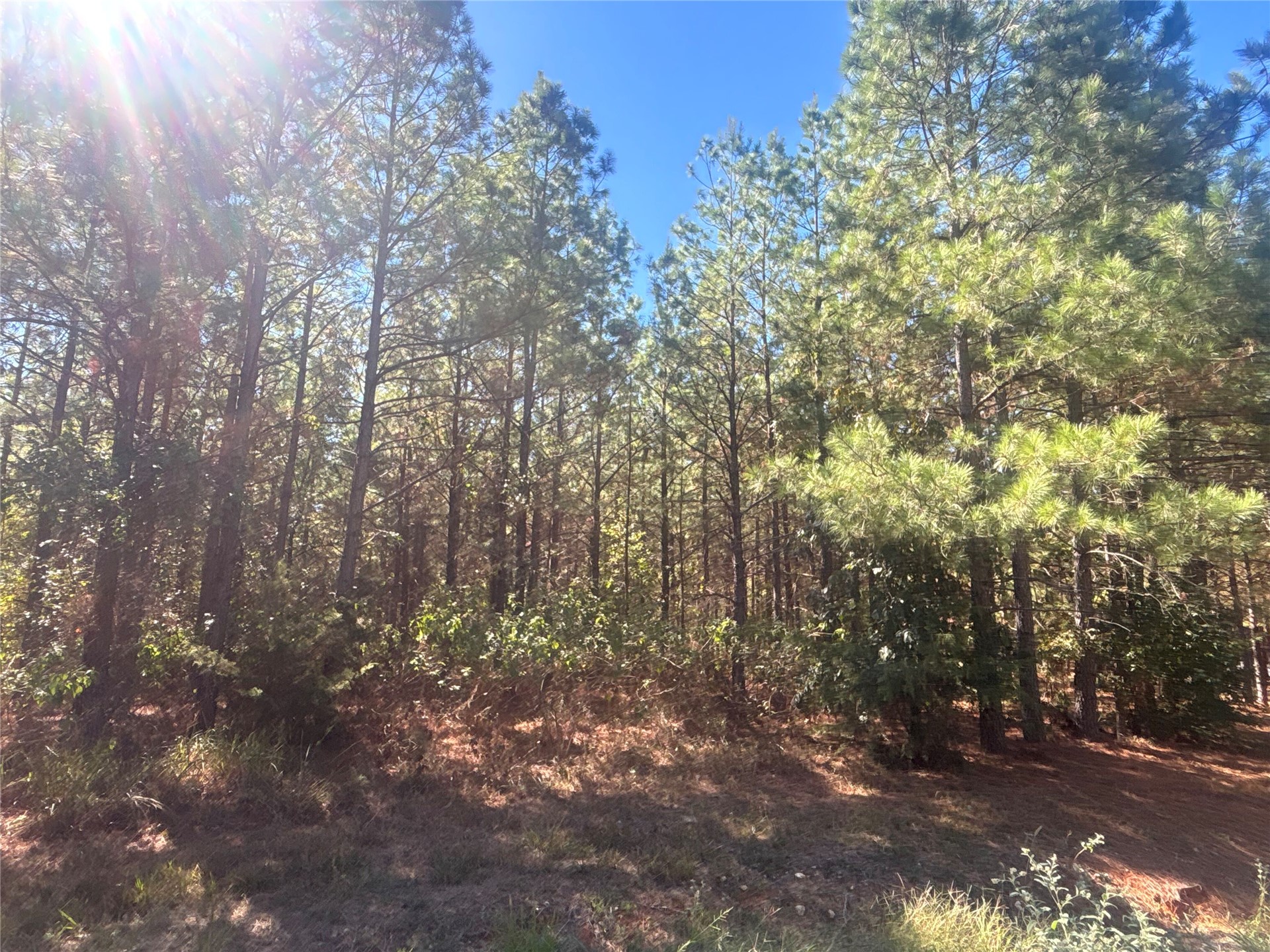 Overcup Acorn Trail Broken Bow OK 74728
