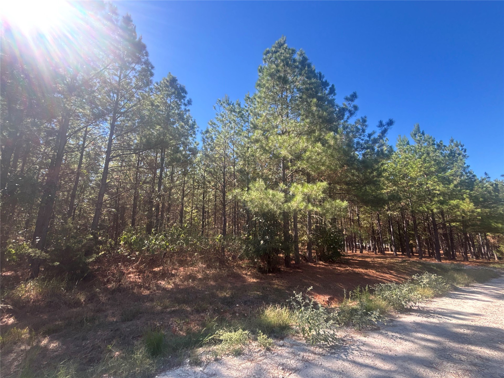Overcup Acorn Trail Broken Bow OK 74728