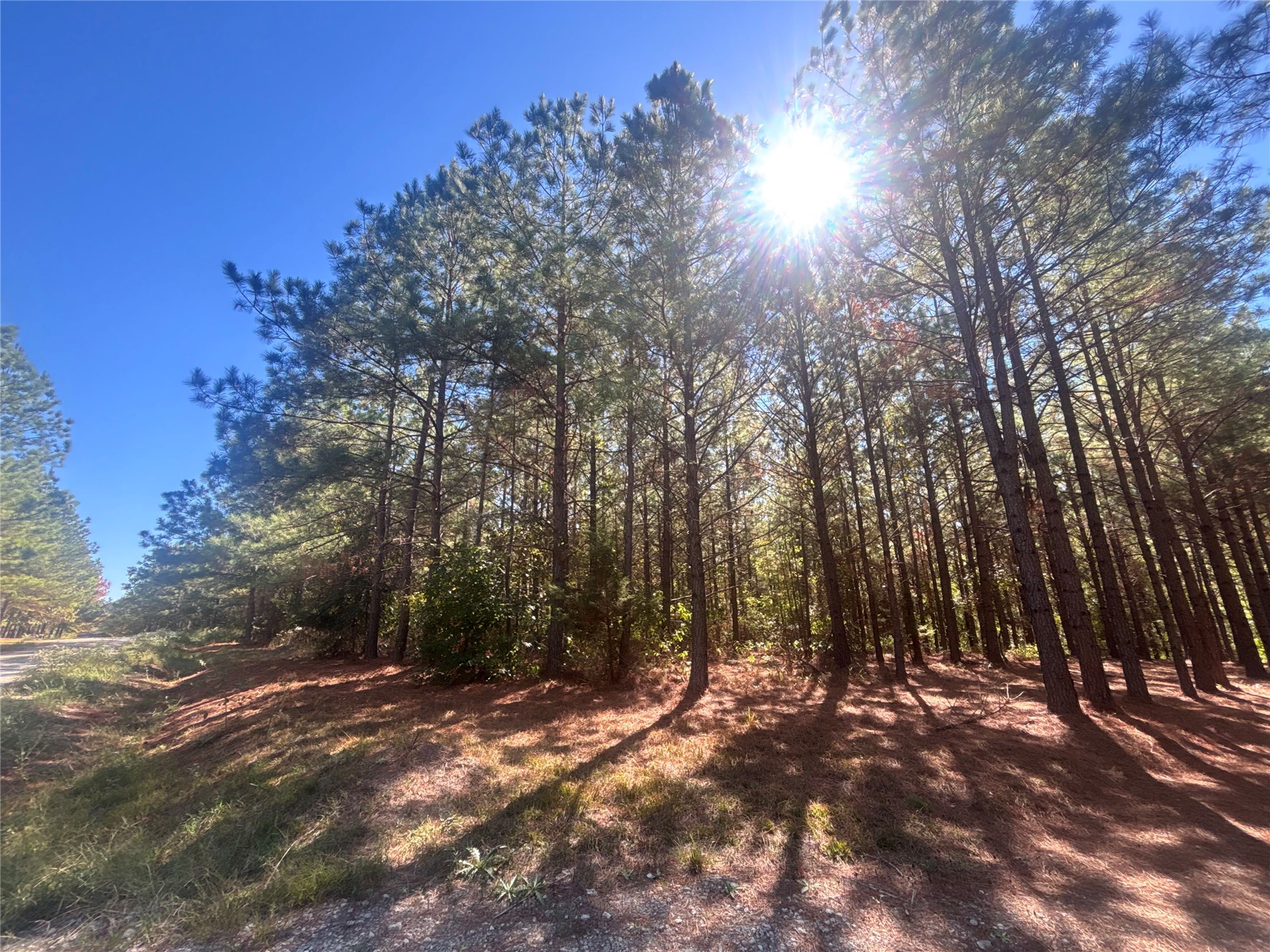 Overcup Acorn Trail Broken Bow OK 74728
