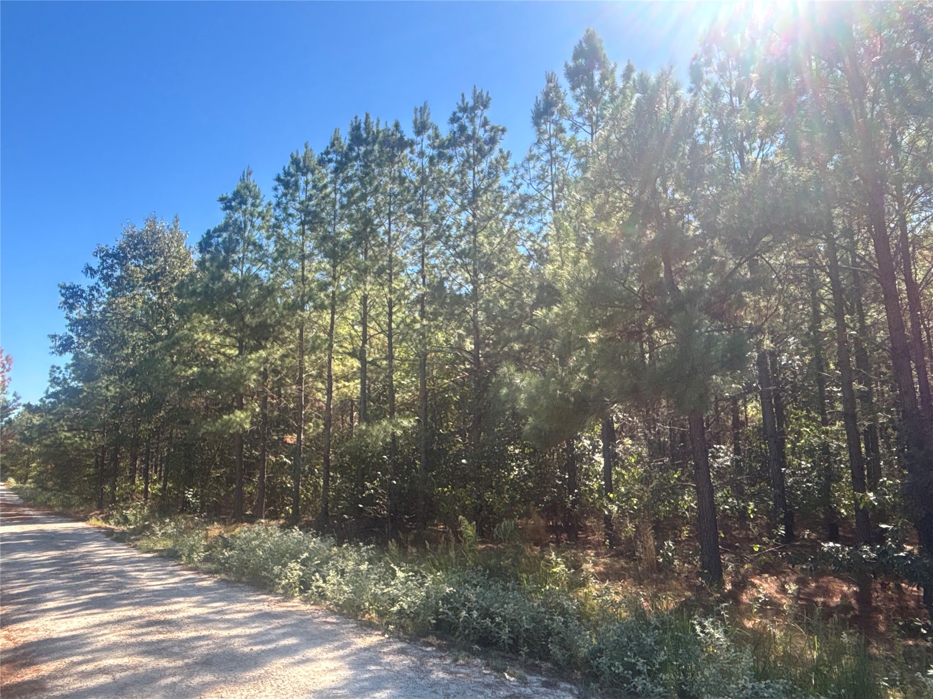 Overcup Acorn Trail Broken Bow OK 74728