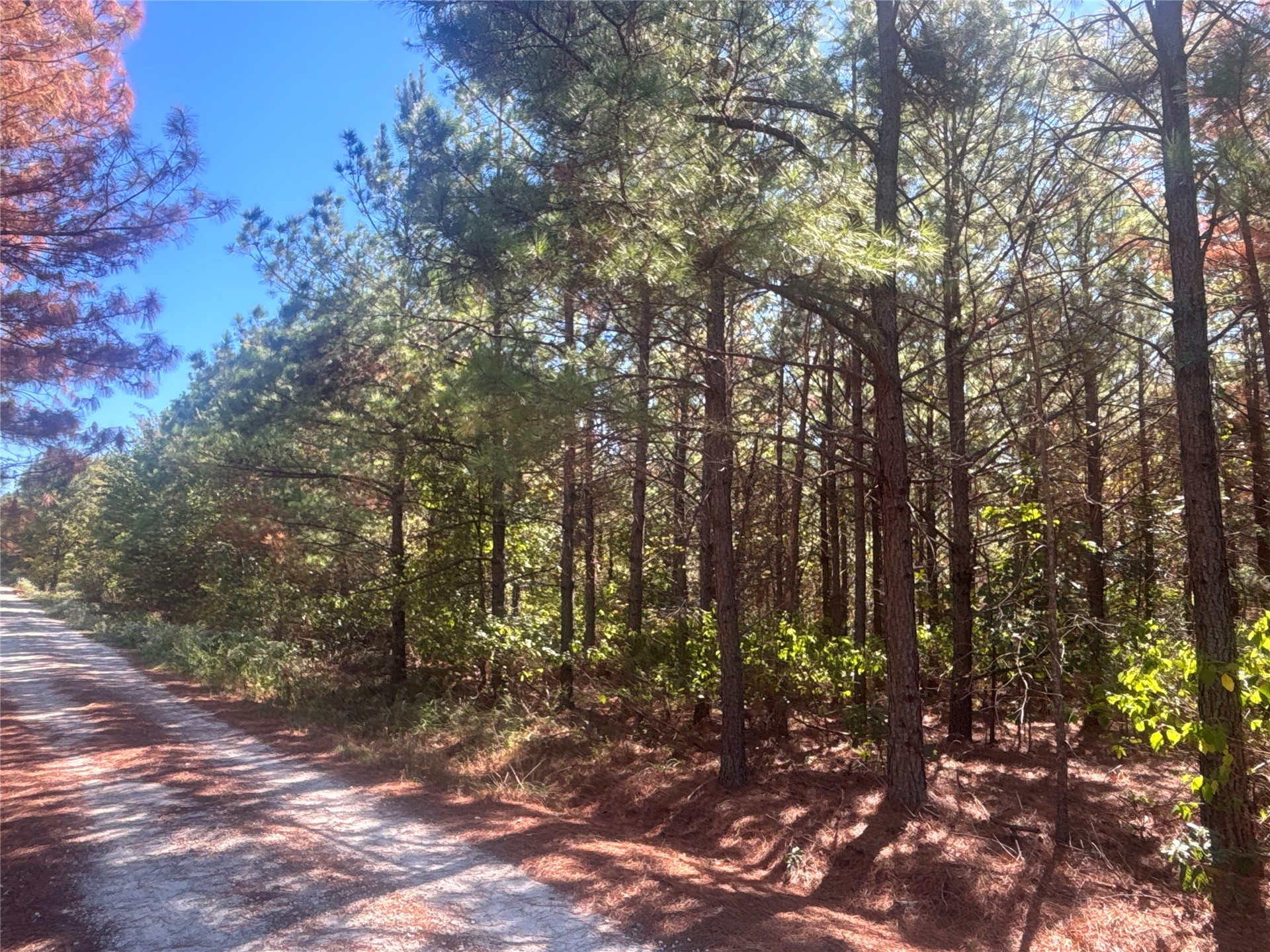 Overcup Acorn Trail Broken Bow OK 74728