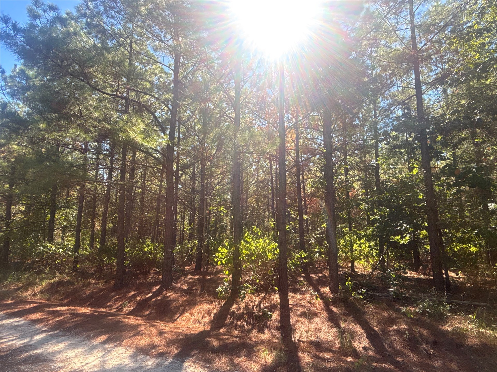 Overcup Acorn Trail Broken Bow OK 74728