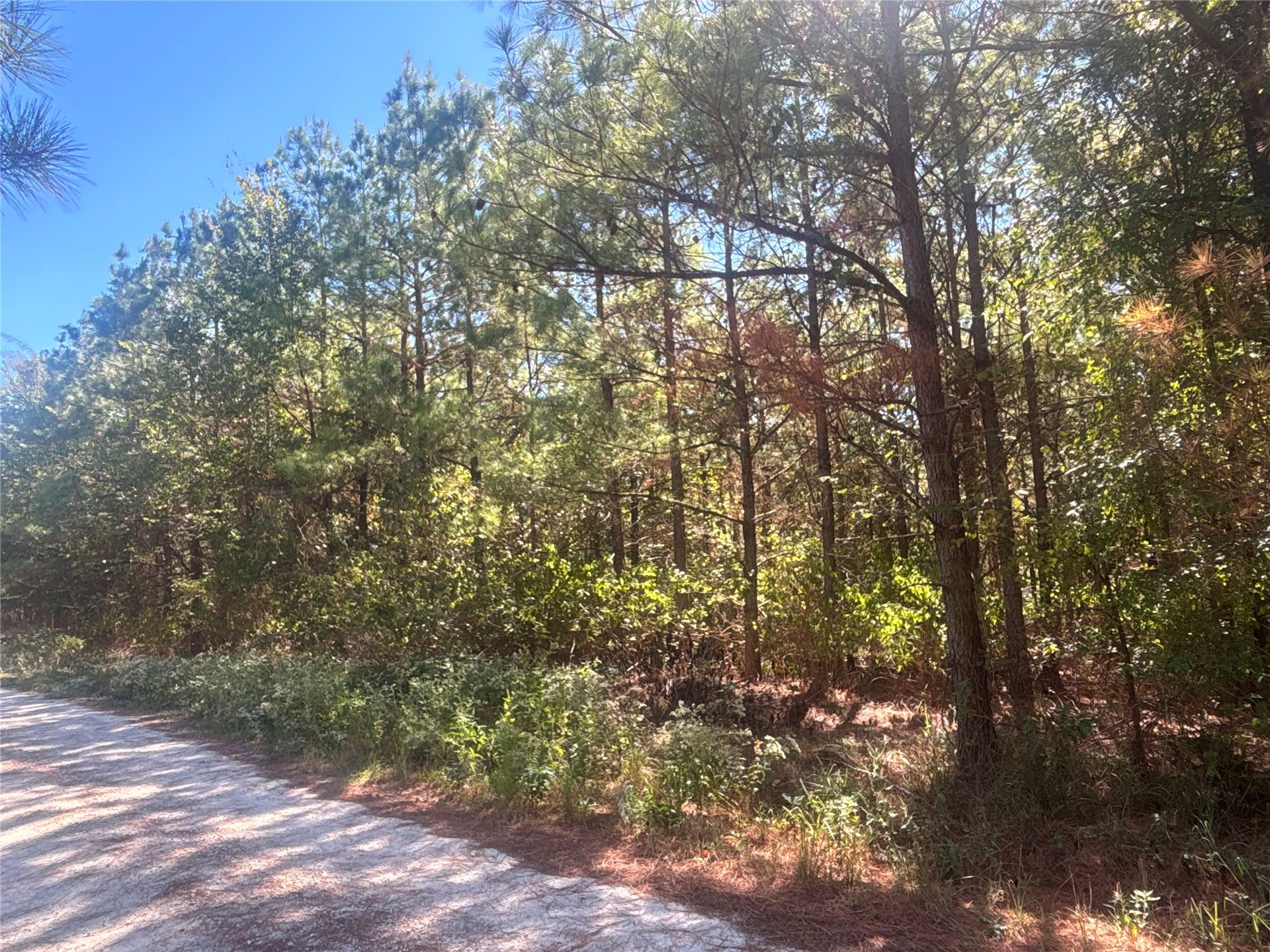 Overcup Acorn Trail Broken Bow OK 74728