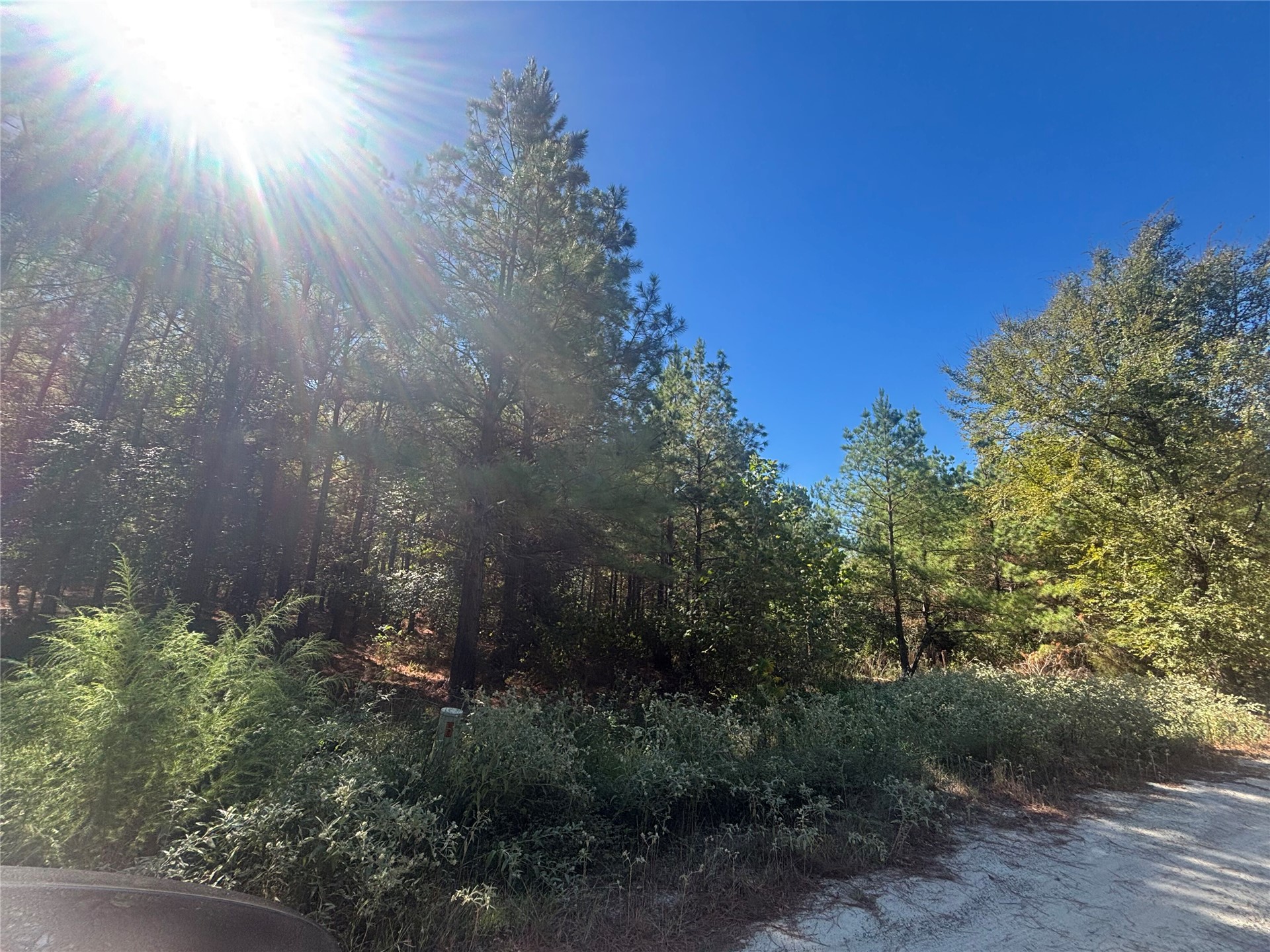 Overcup Acorn Trail Broken Bow OK 74728
