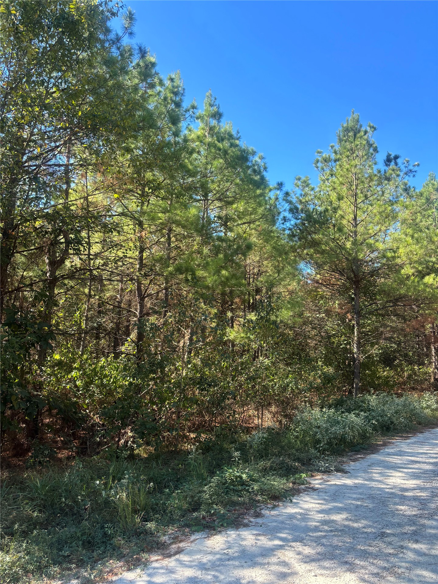Overcup Acorn Trail Broken Bow OK 74728