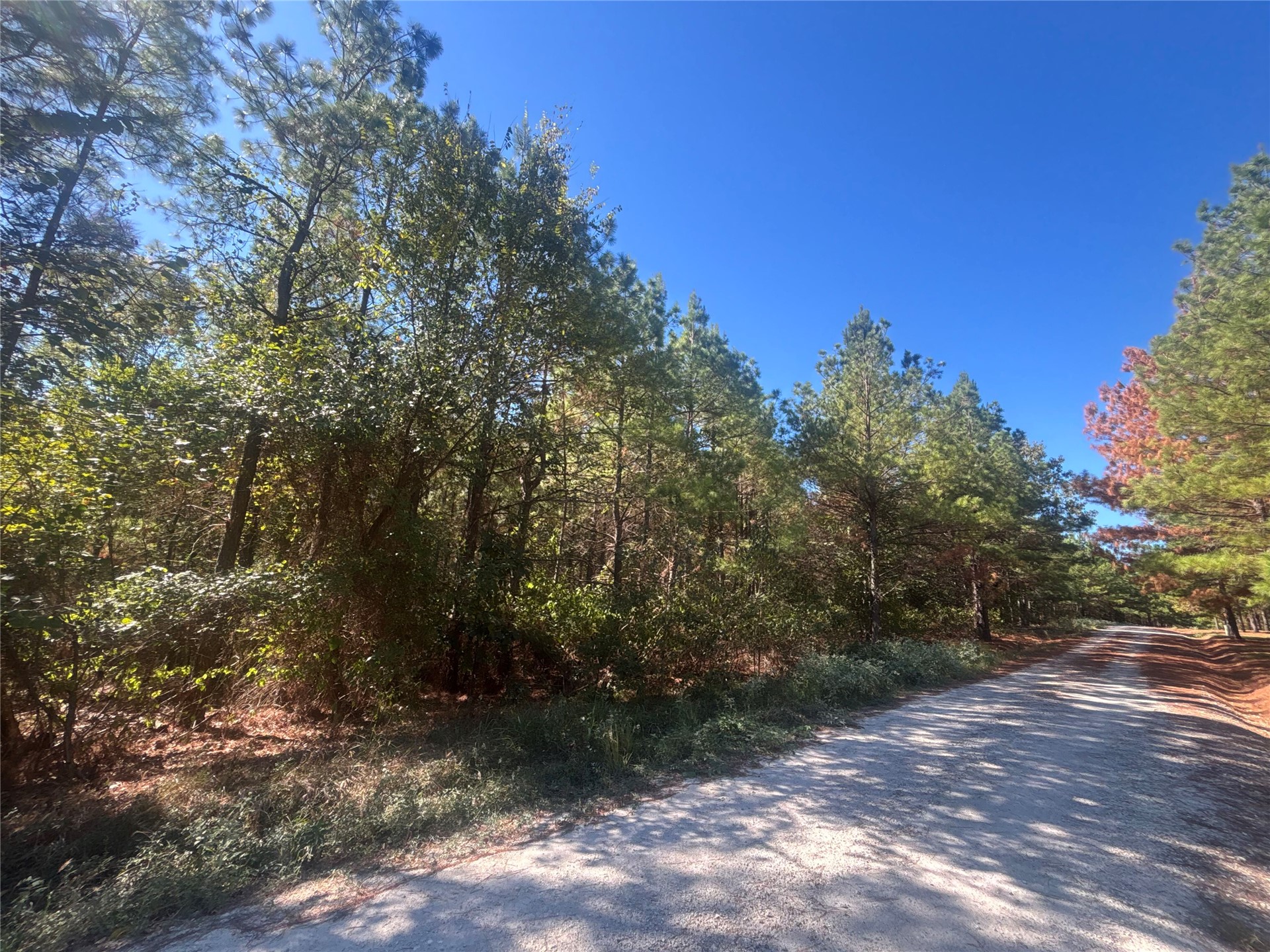 Overcup Acorn Trail Broken Bow OK 74728