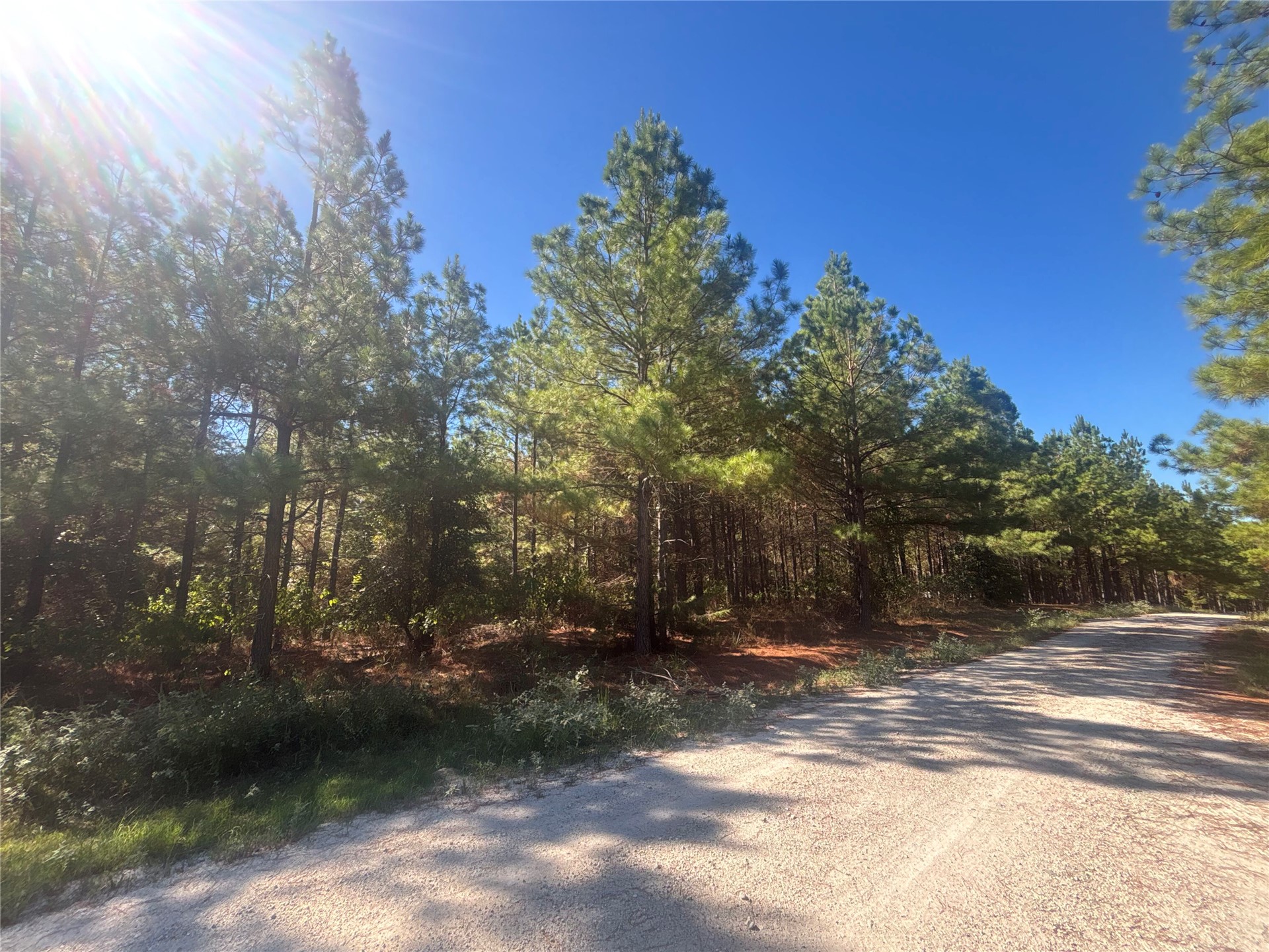 Overcup Acorn Trail Broken Bow OK 74728