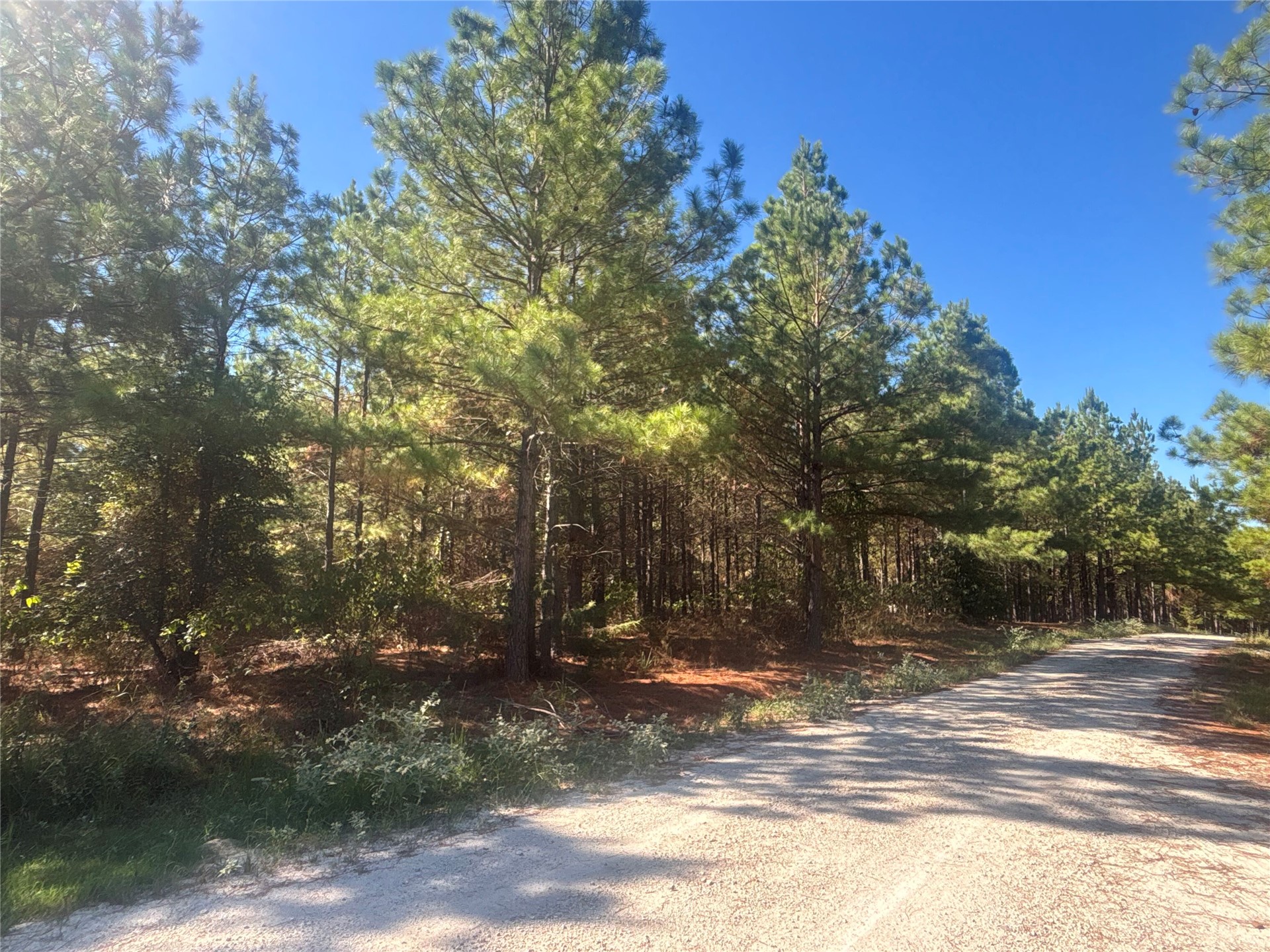 Overcup Acorn Trail Broken Bow OK 74728